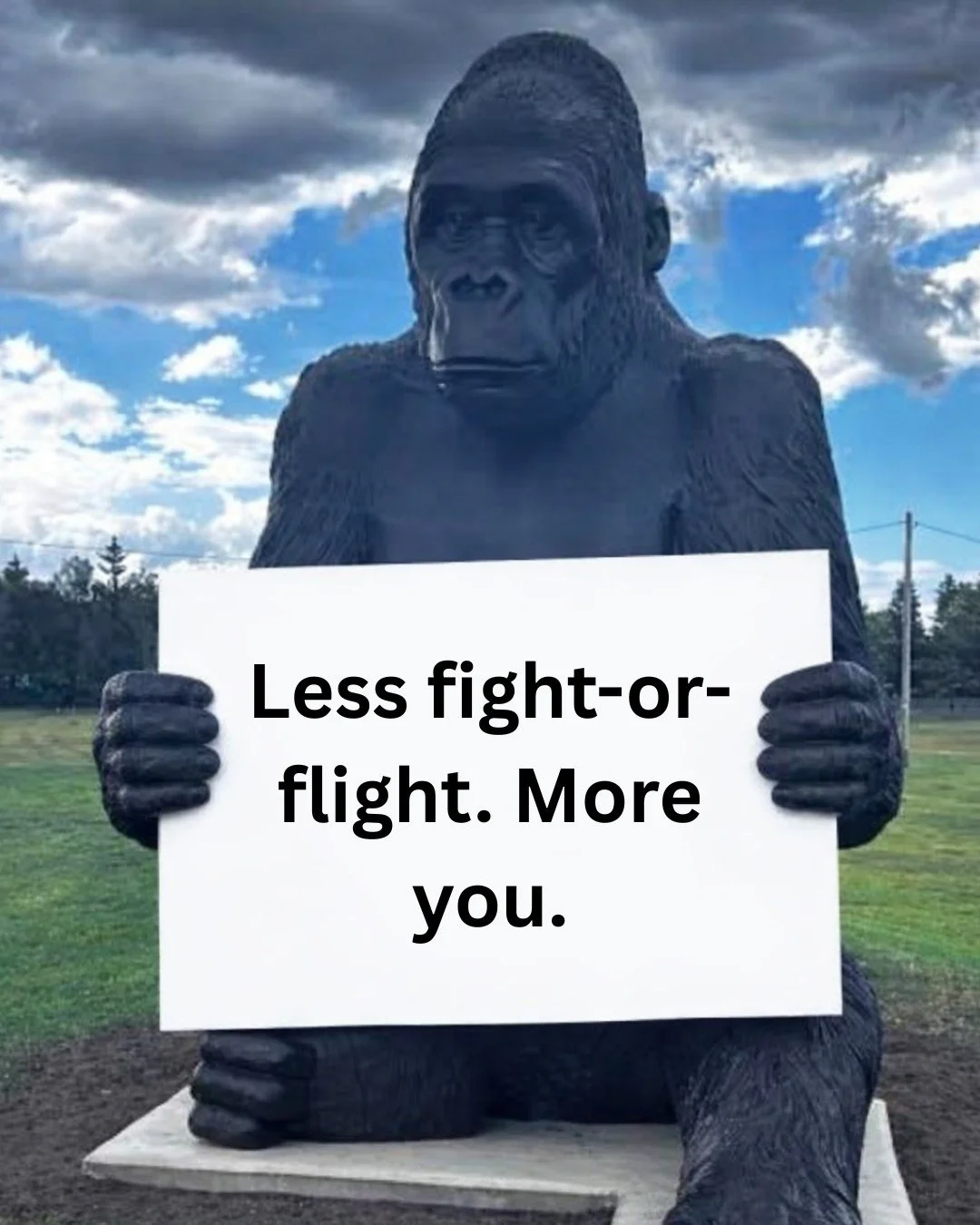 🦍 LESS FIGHT &amp; FLIGHT. MORE YOU.

When your nervous system is stuck in survival mode, everything feels louder &mdash; stress, tension, pain, overwhelm.

Your shoulders creep up. Your mind races. Sleep feels harder. You react faster and recover s