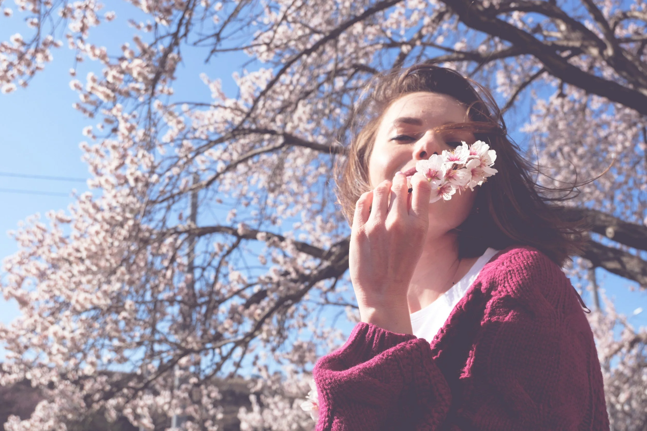 Everything you need to know about Seasonal Allergies.