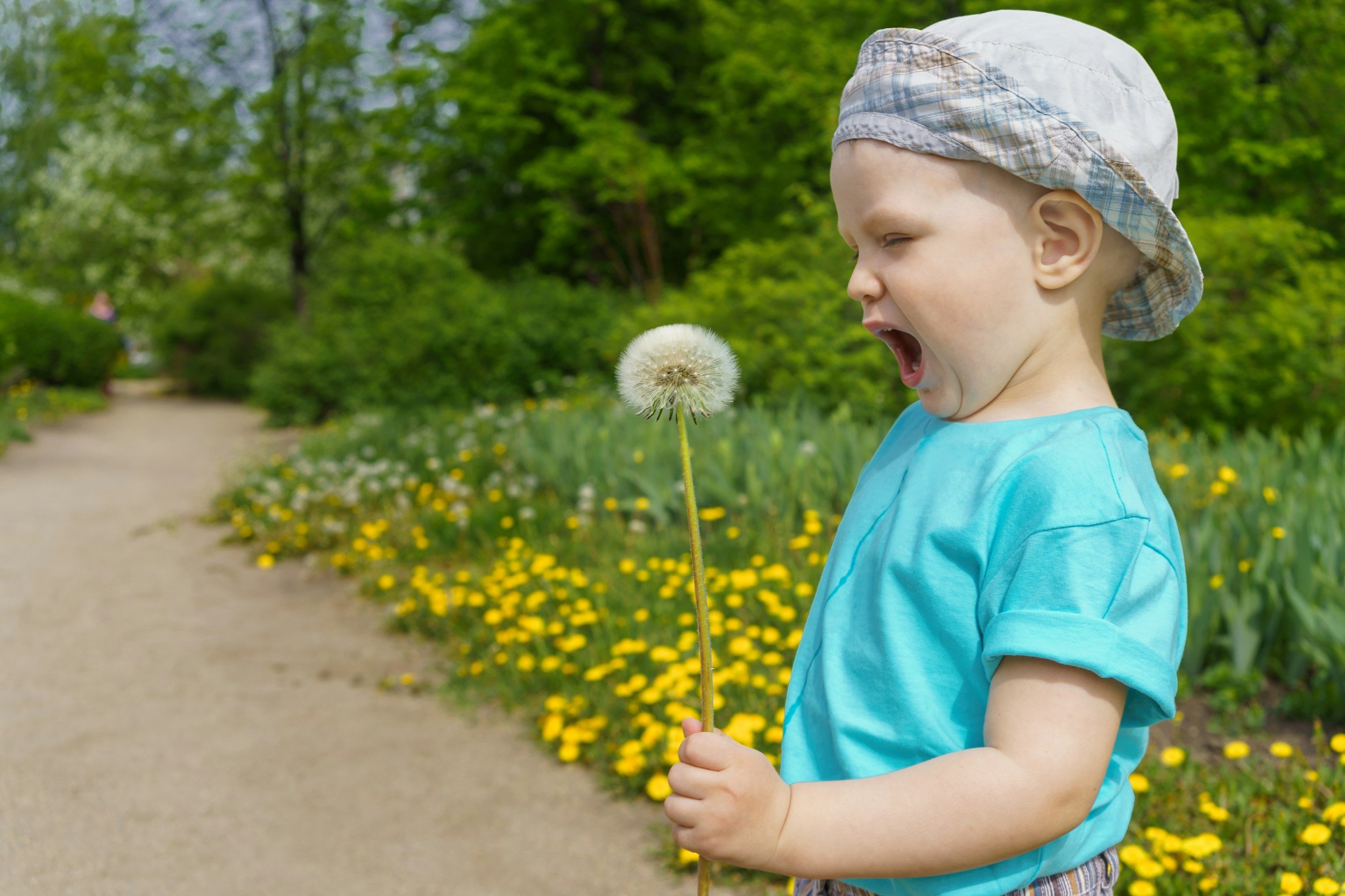 Why Does Your Body Overreact to Pollen? The Nervous System Behind Seasonal Allergies