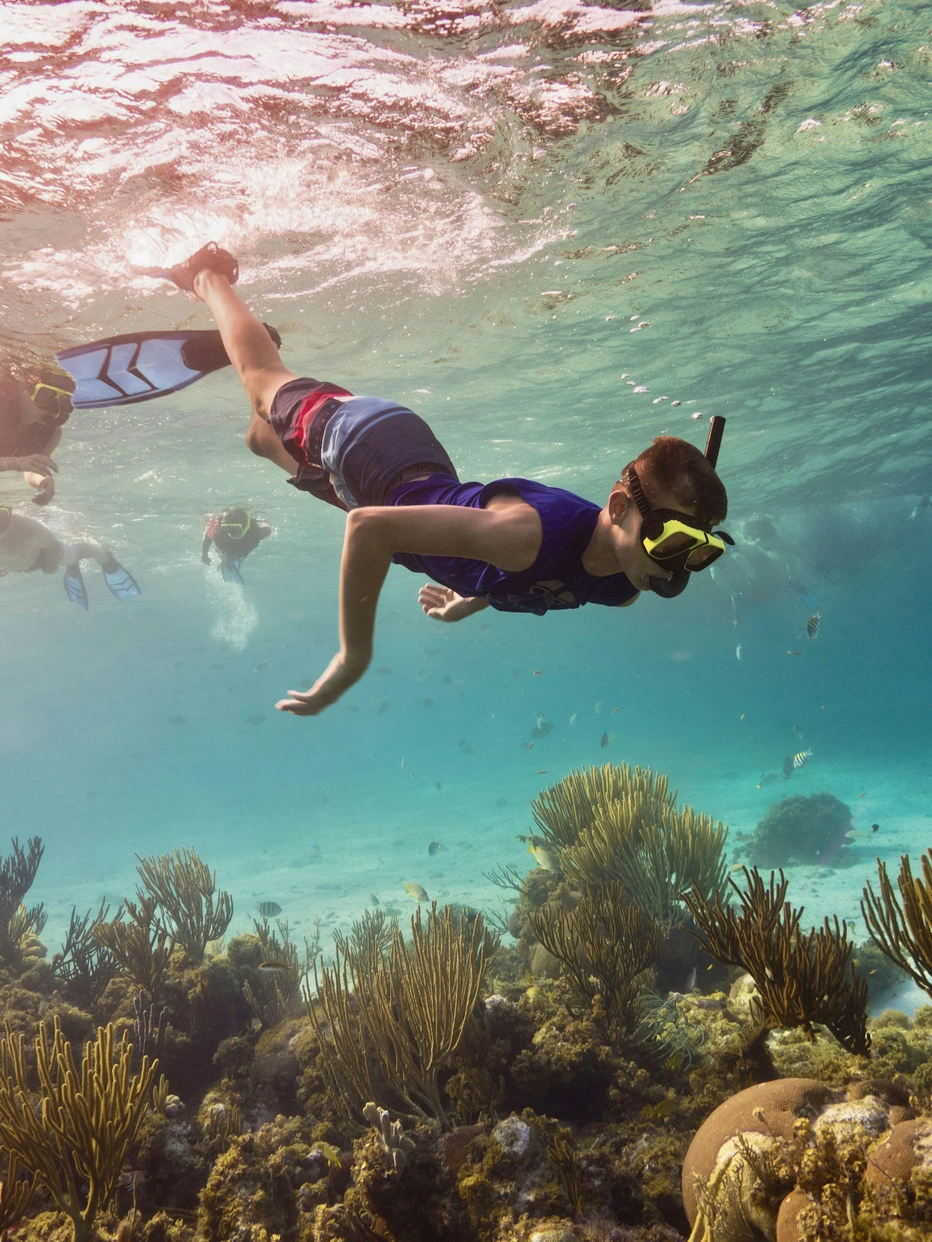 Snorkelling in Murky Water: Why Your Body Gets Stuck in Fight-or-Flight