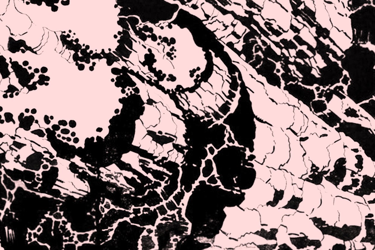 Daredevil / Royals / MAD