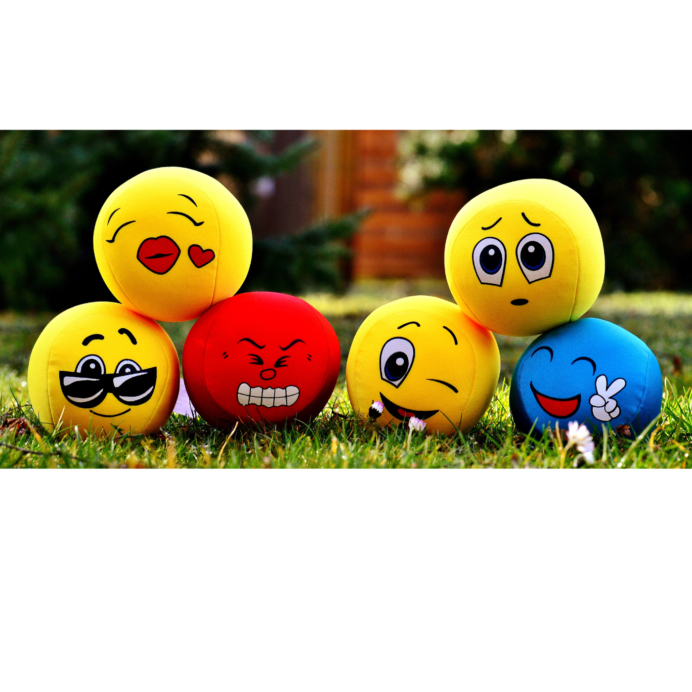 Regulate First, Then Reason: Coming Back to Thinking When Emotions Take Over