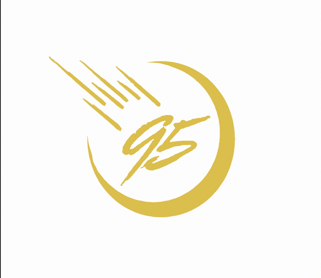 NINETY5IVE 95 Logo.gif