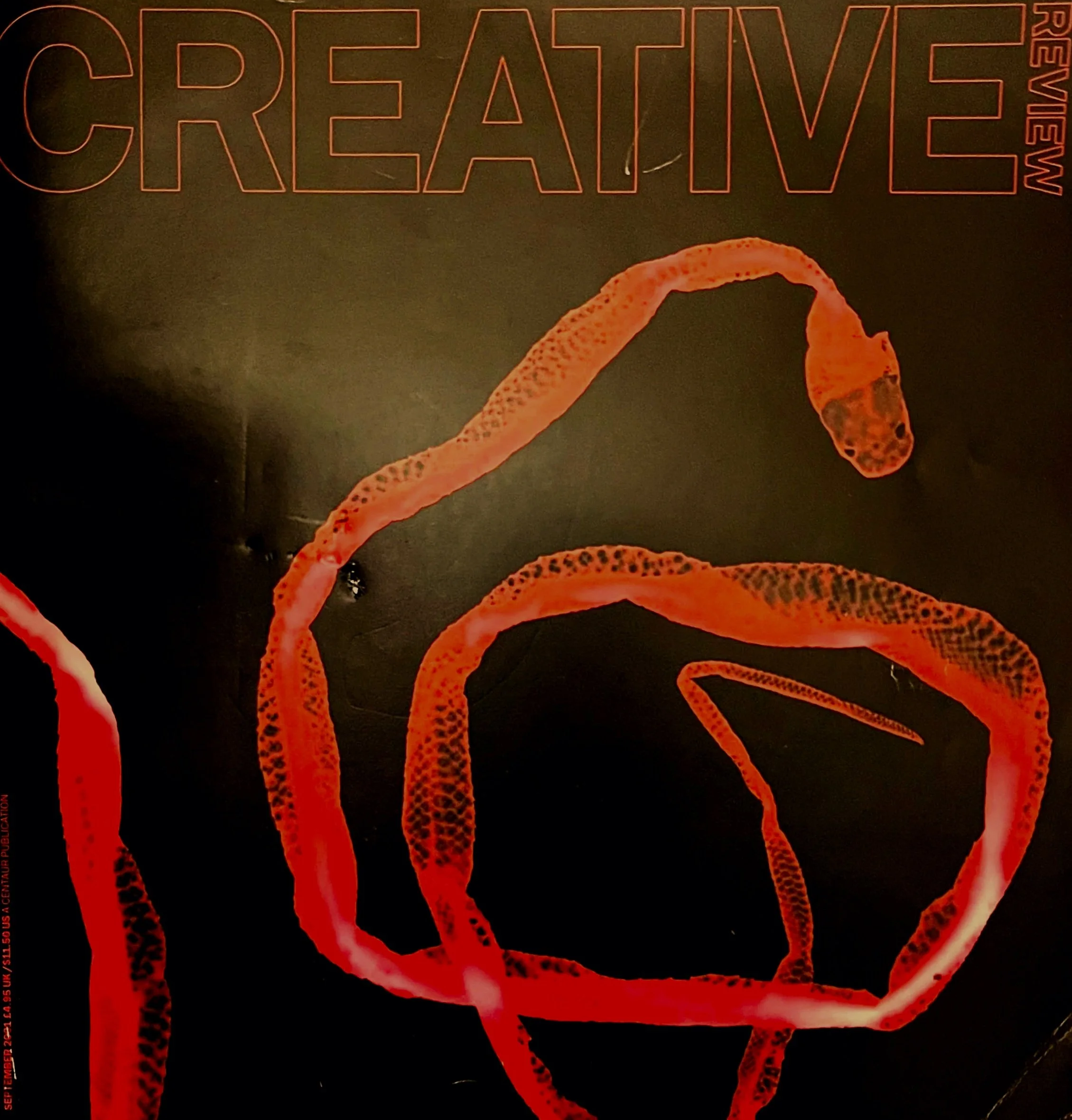 Creative Review : September 2001 :Schizophrenia Fellowship Campaign :  2001: Nicholas Riddett Agency : Creatives : Nicholas Riddett, Honey Hartley, Clara McClarin