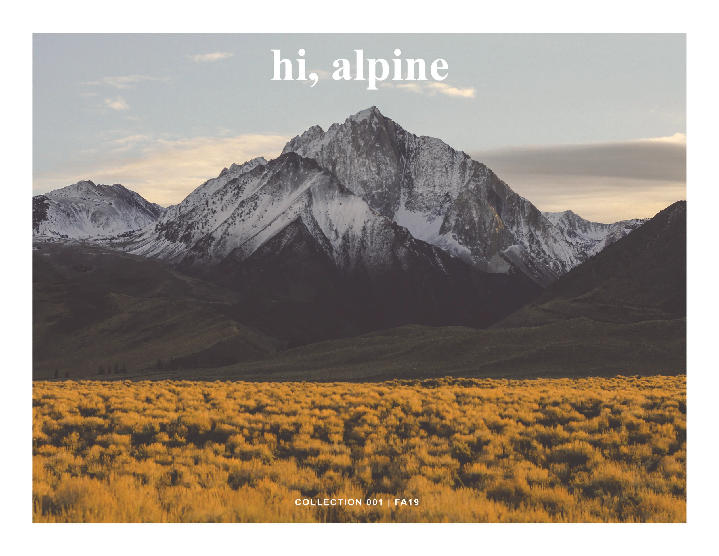 Hi, Alpine