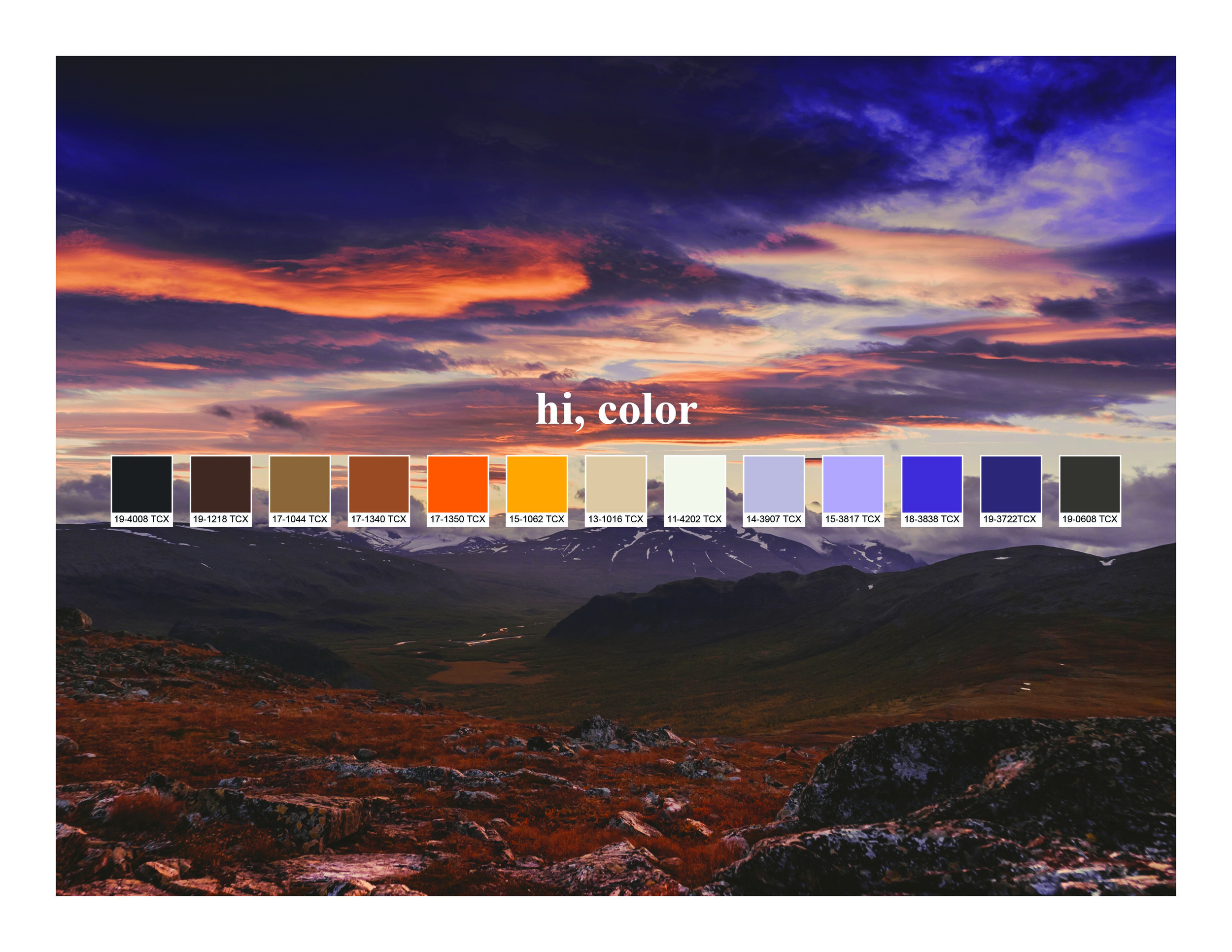 ELIZABETH_KNOTTS_2020_PORTFOLIO_HQ9.jpg