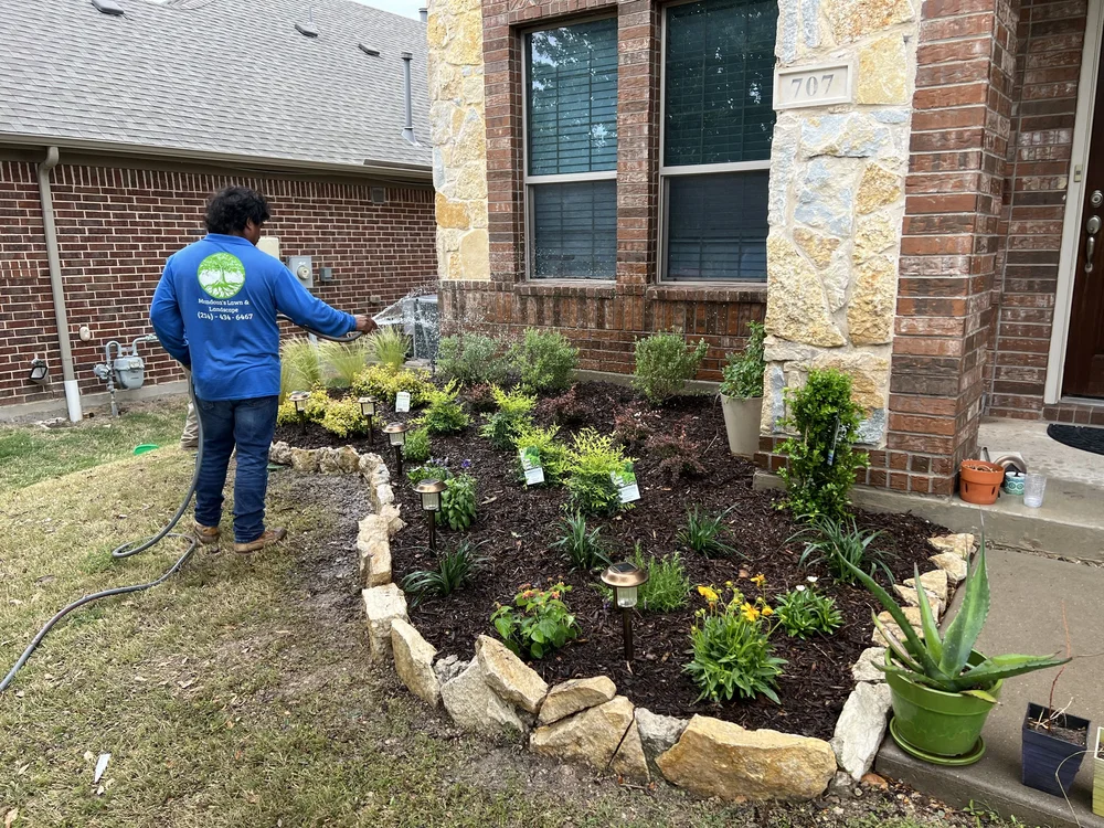 A Mendoza’s Lawn and Landscape team member watering a newly planted garden bed