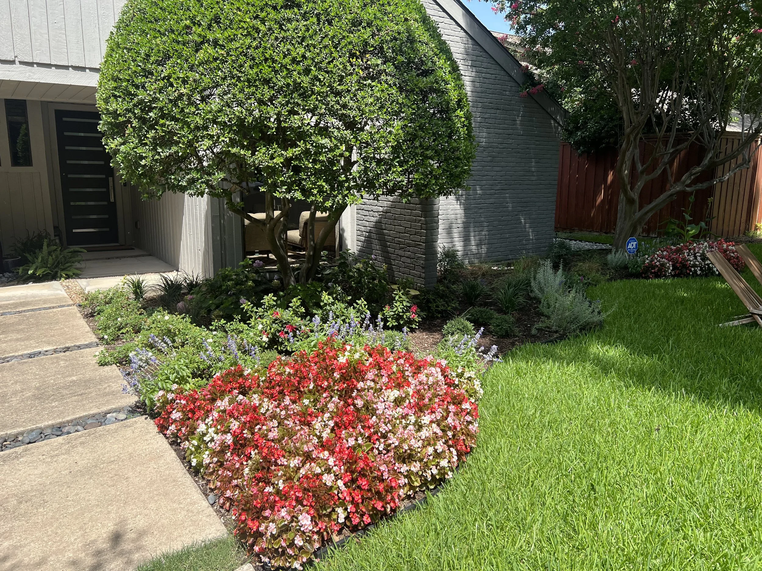 Planted garden bed with ornamental grasses, shrubs and stone edging