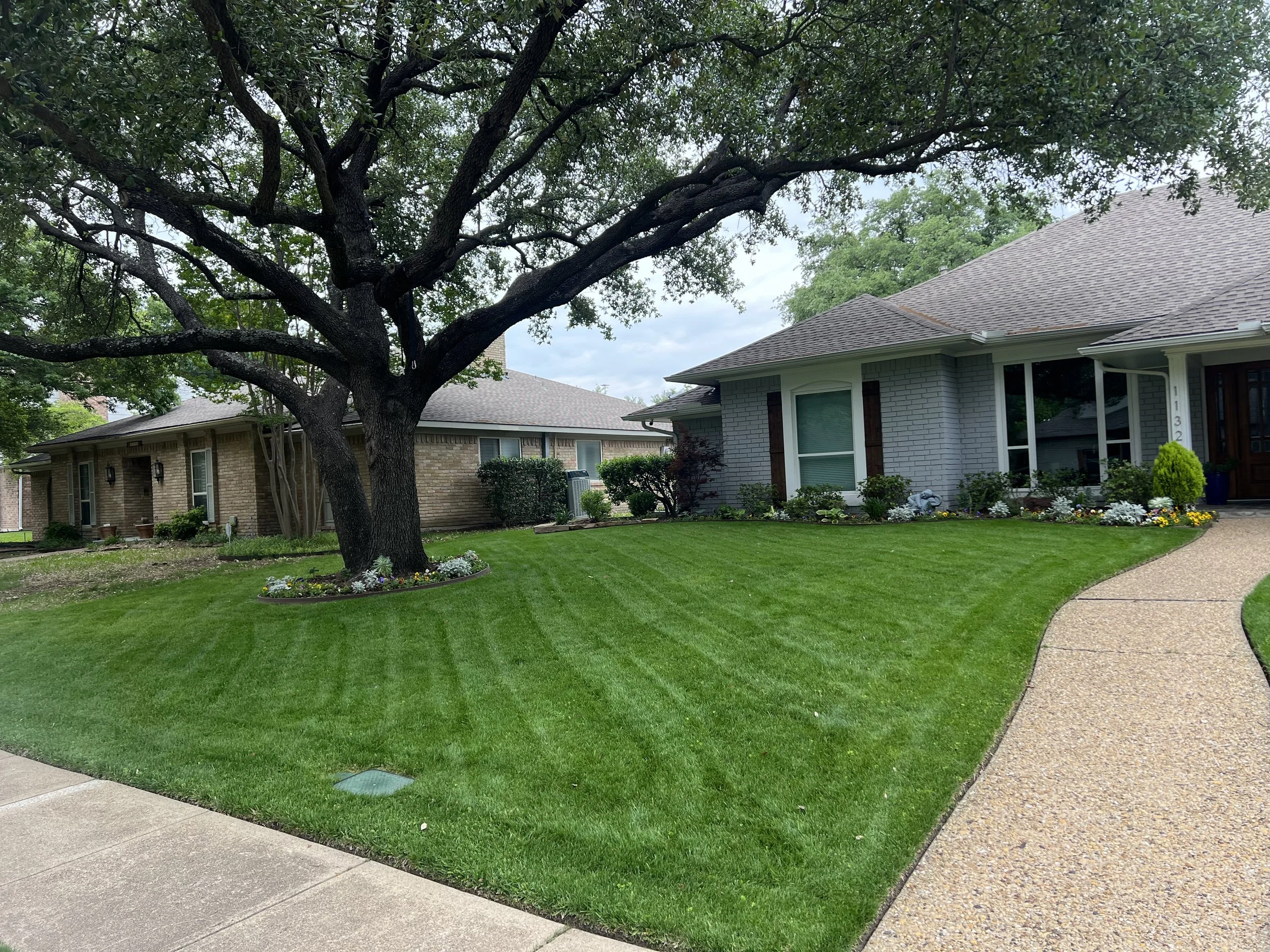 Maintained backyard lawn beside a curved patio