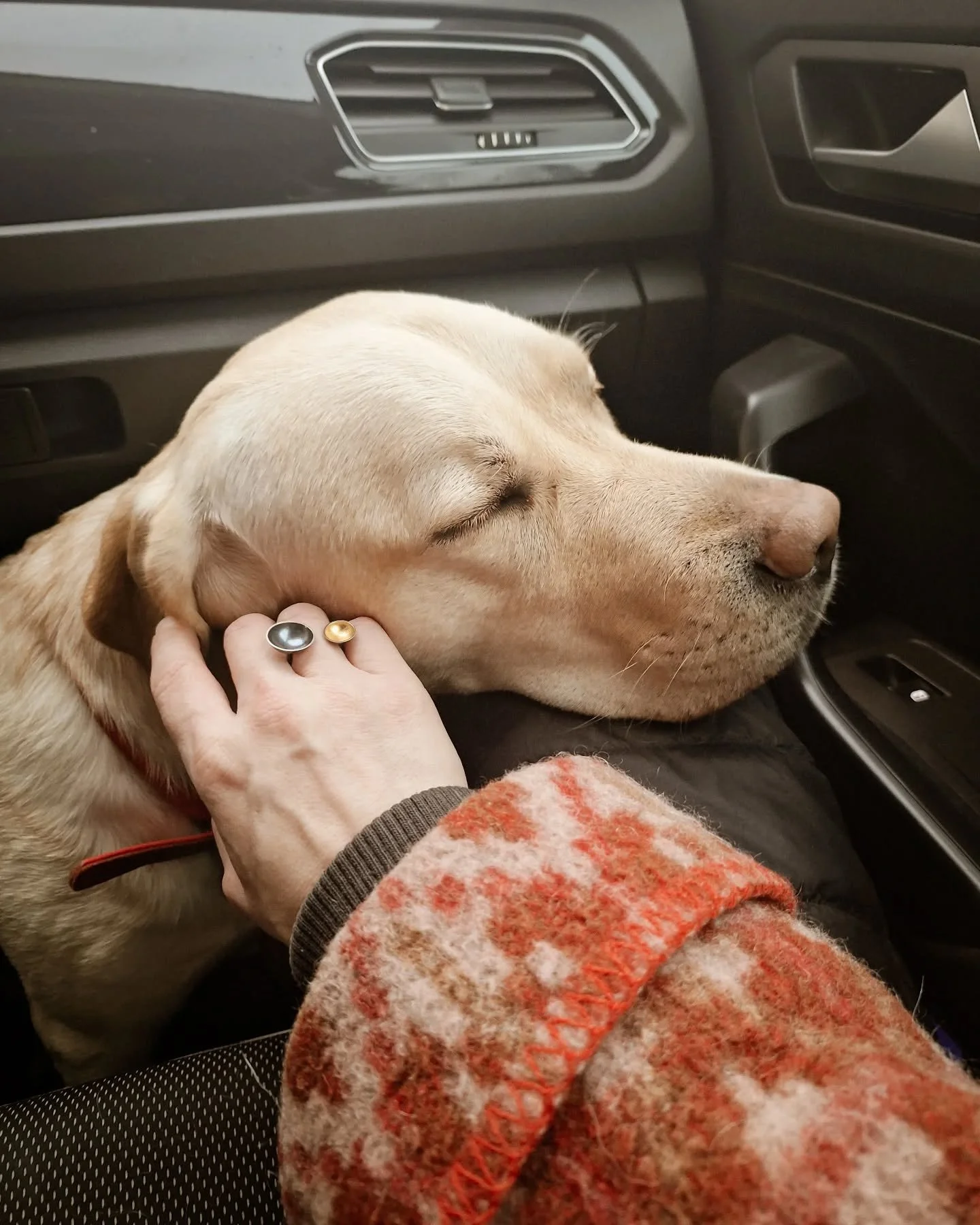 Bl&oslash;de &aring;r herfra 💭