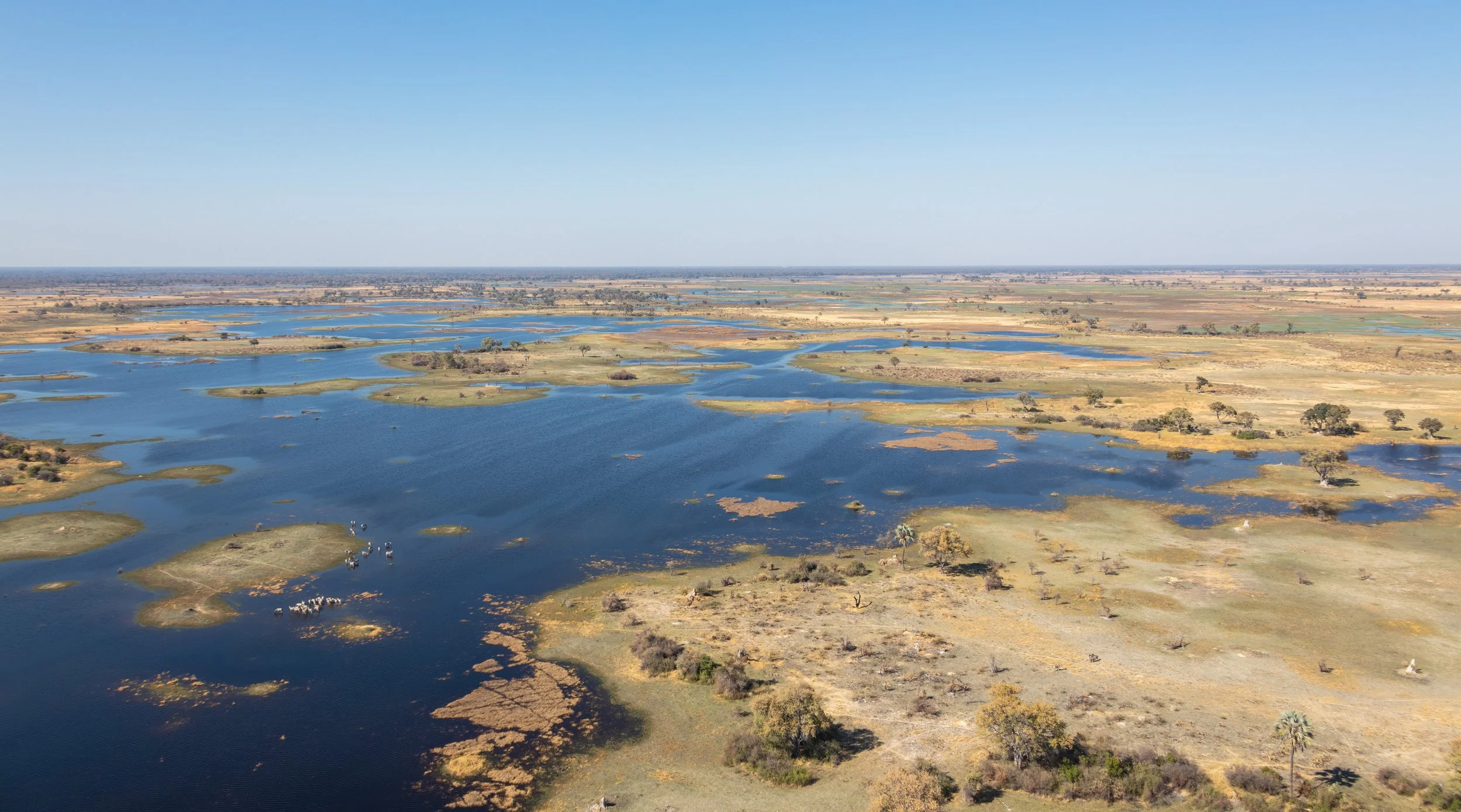 Vista_aérea_del_delta_del_Okavango,_Botsuana,_2018-08-01,_DD_32.jpg