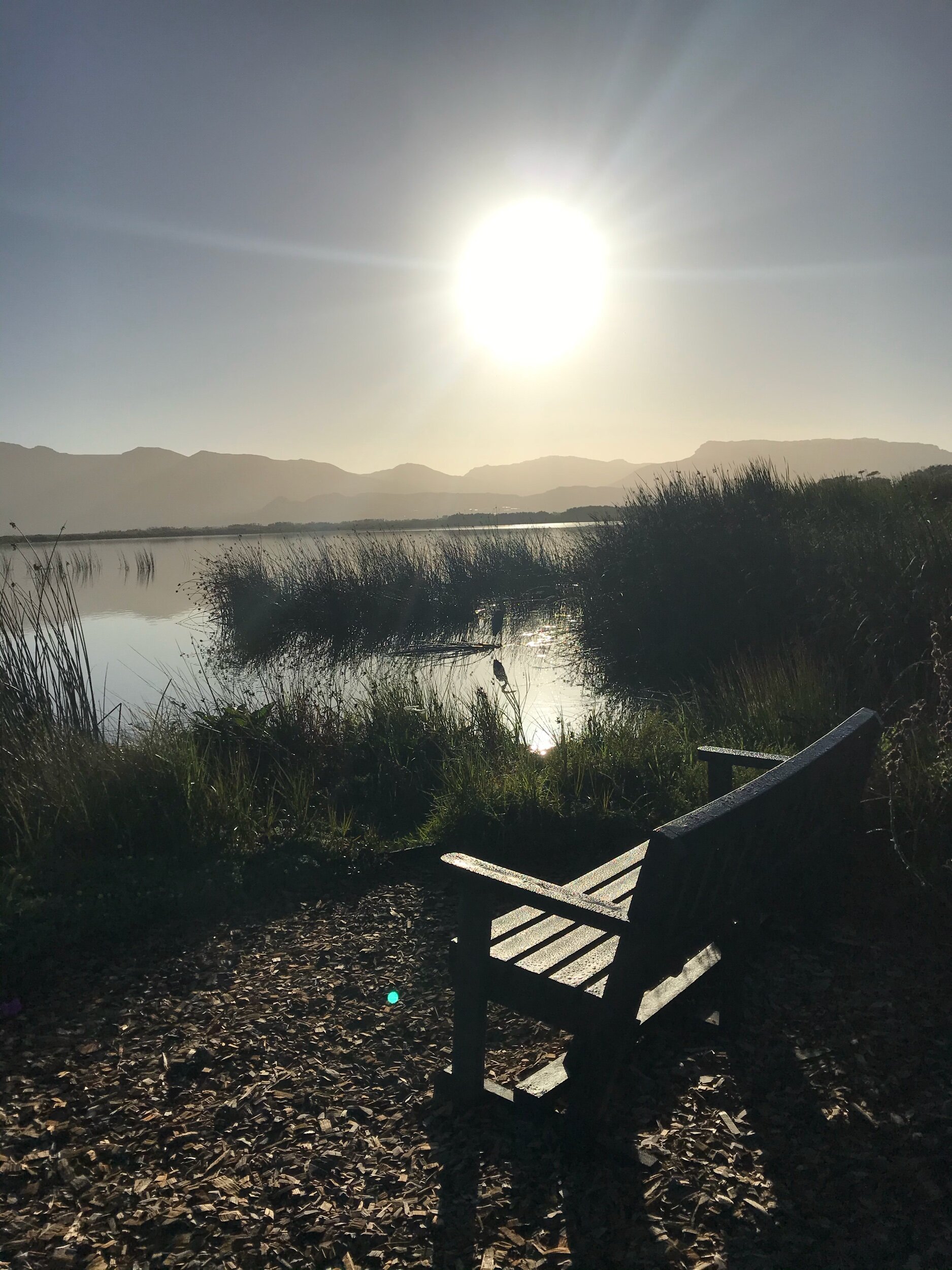 The Undiscovered Beauty of Silence