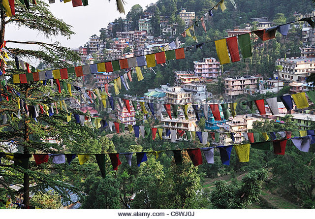 Escaping the trap of Tibetan Buddhism