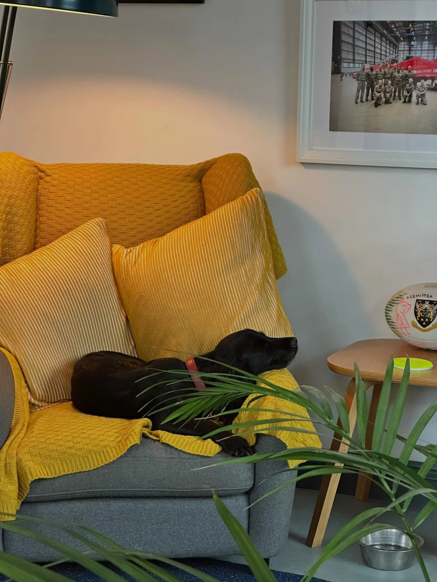 Well, we’re in the new studio - just about. Still a few bits to sort but it was one hell of a day yesterday moving everything from one place to another, but we’re in and that’s the main thing! Hello to the neighbours @albionbrewery