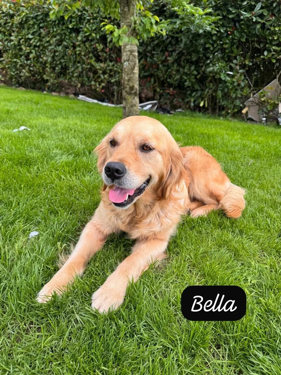 Bella_3.jpg
