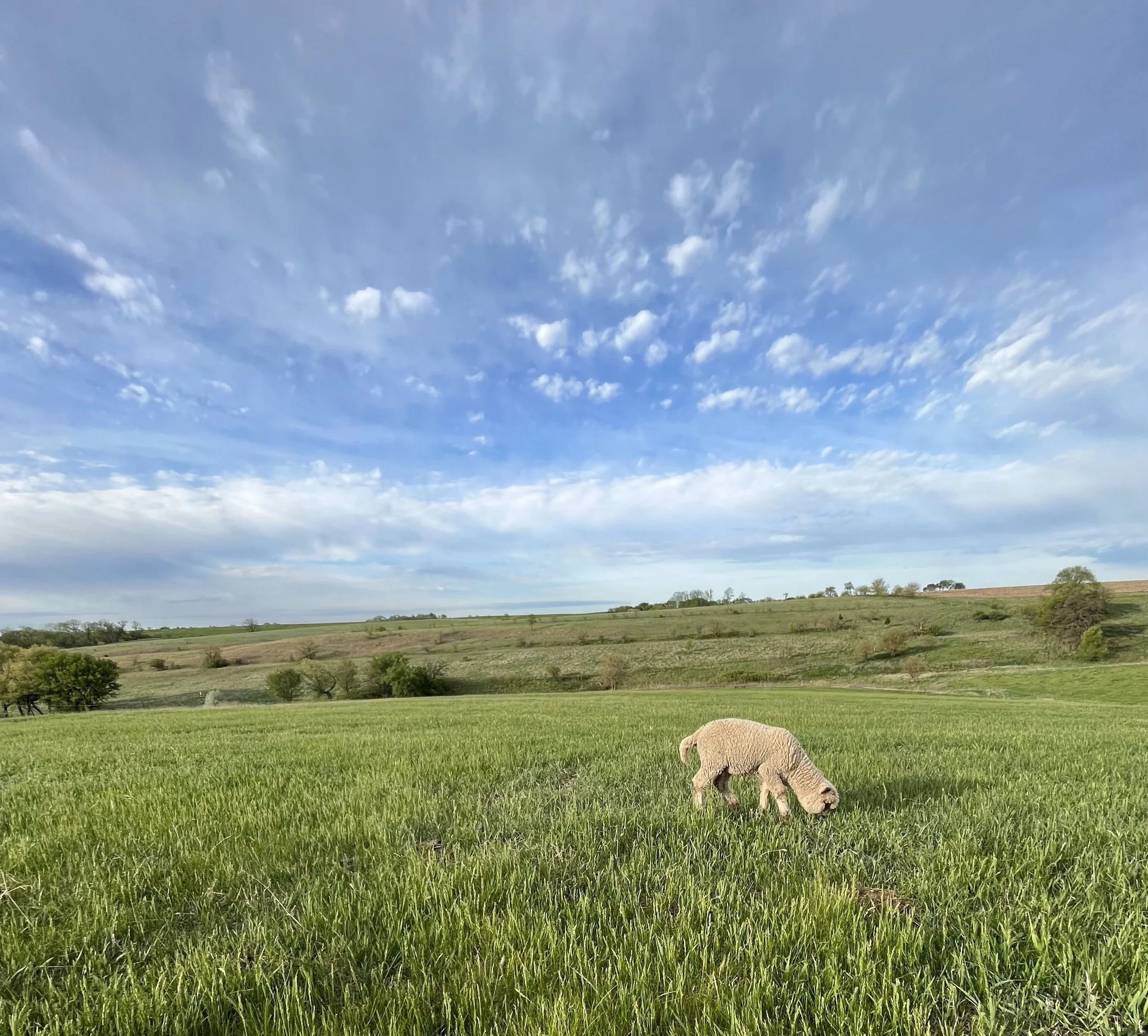 Envisioning the Future of Driftless
