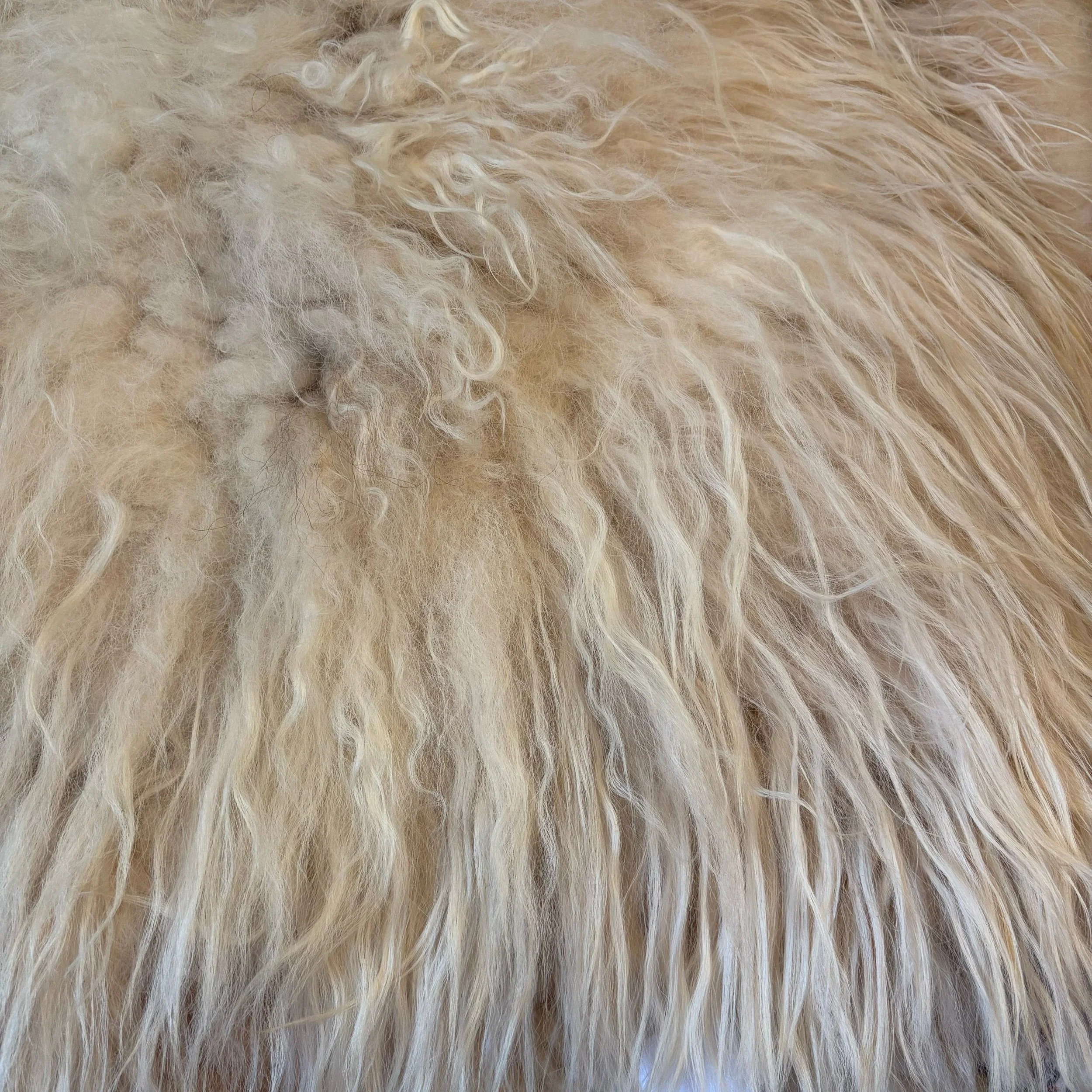 44E20170-2854-42E0-A8E8-D68C26F86323.jpeg