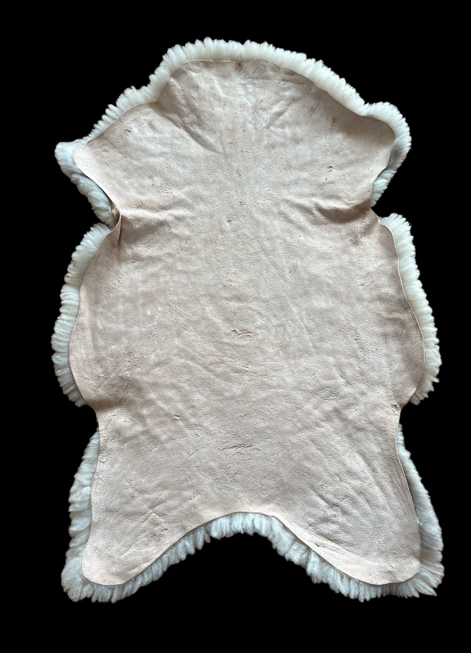F447DD05-FD4B-4F68-A2AC-B77E30E151E4.jpg