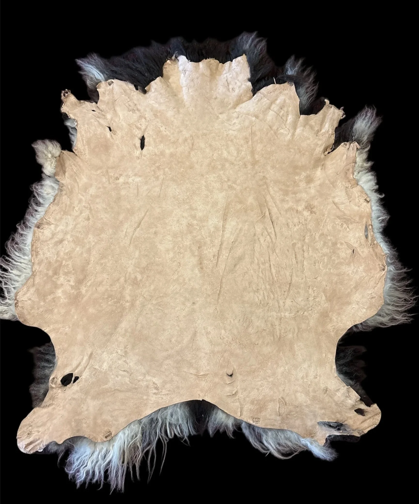 0C2F9994-9E2C-4E20-822D-A0F2AB110F52.jpg