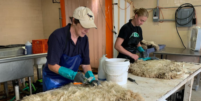 driftless tannery nontoxic sheepskin