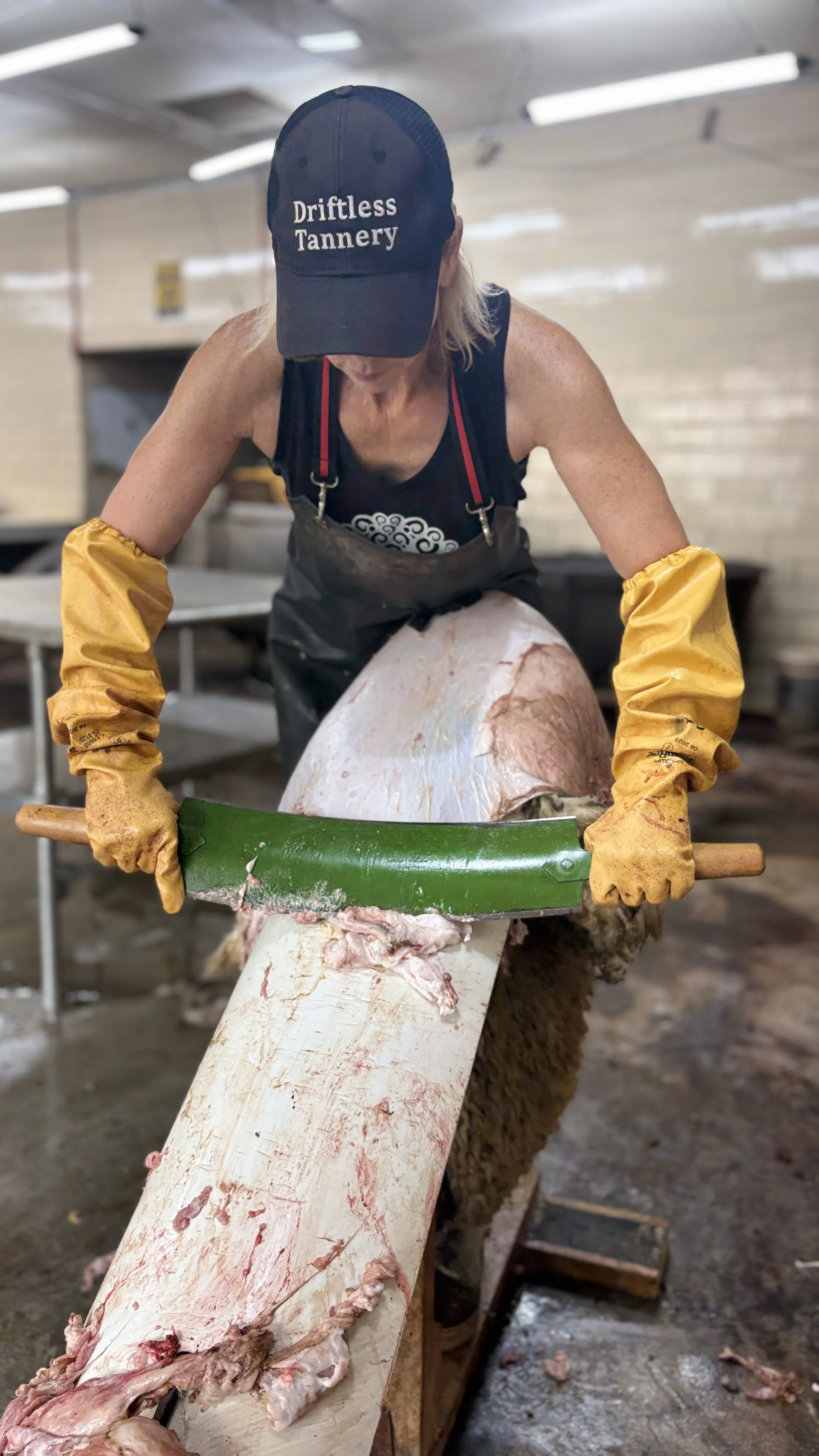 Fleshing and Hide Preparation Workshop, October 17, 2026- Afternoon Session