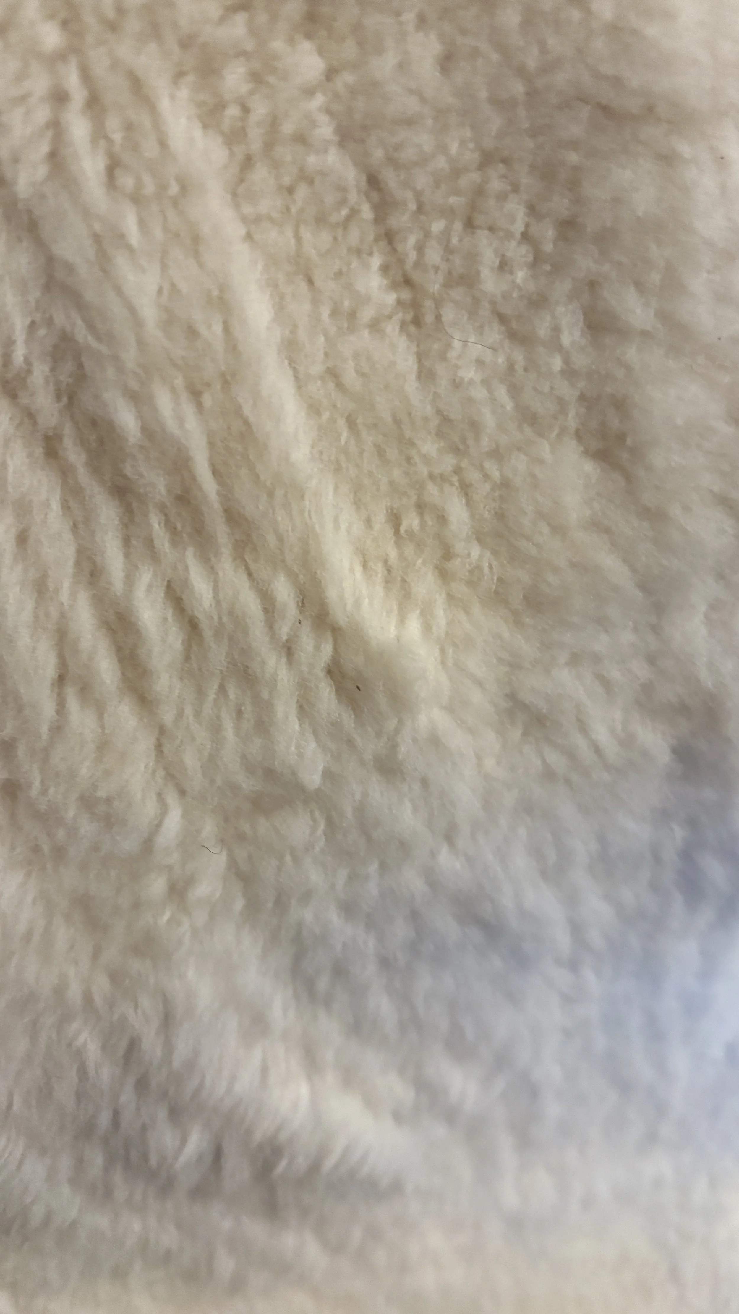 IMG_7060.jpeg