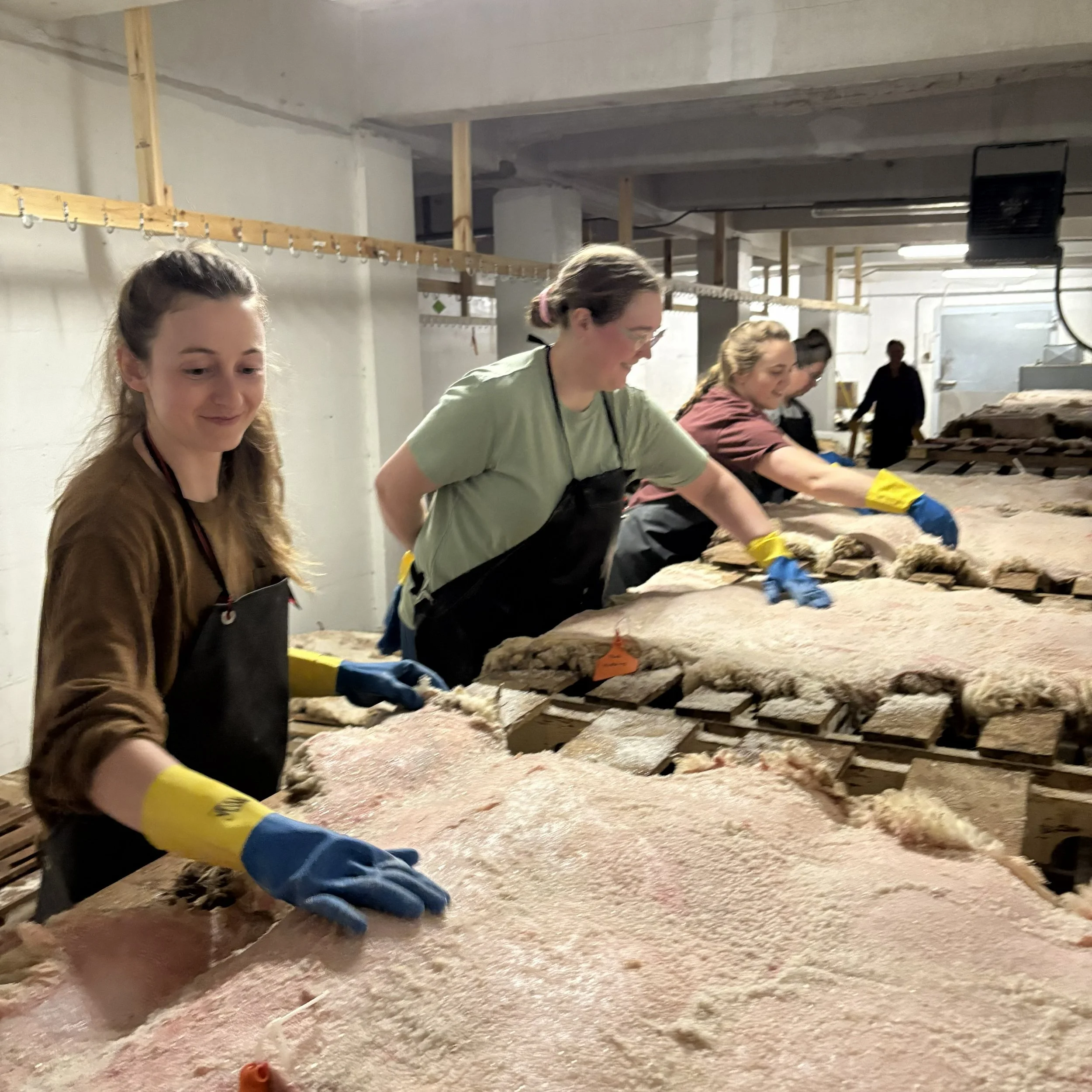 Fleshing and Hide Preparation Workshop, October 17, 2026 - Morning Session