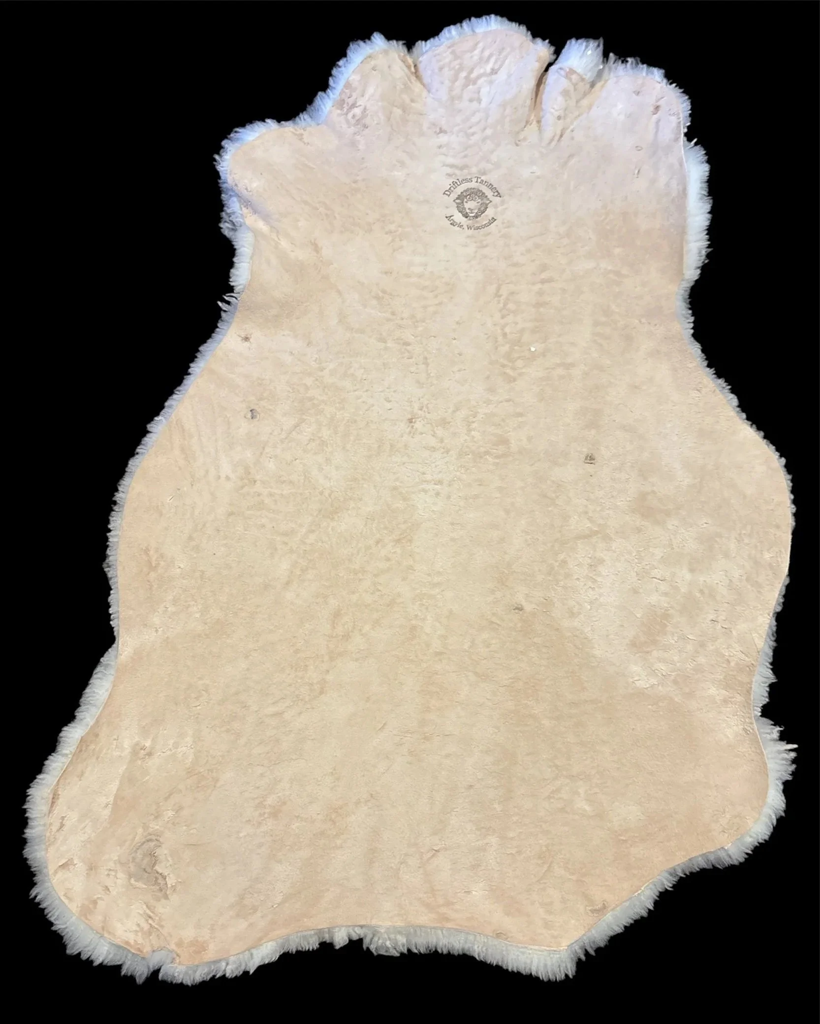 Photoroom_20260826_105249.jpg
