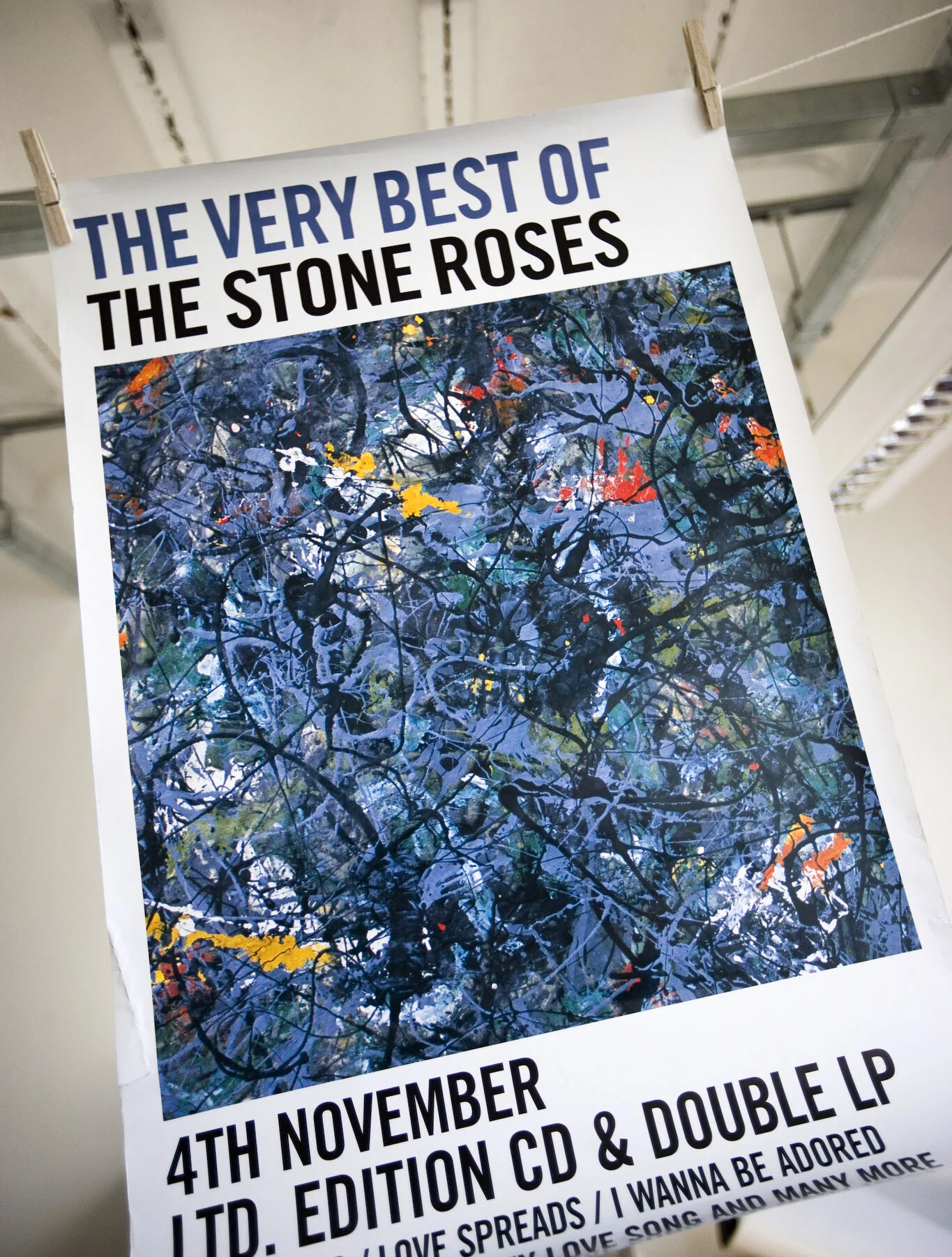 uni_roses1.jpg