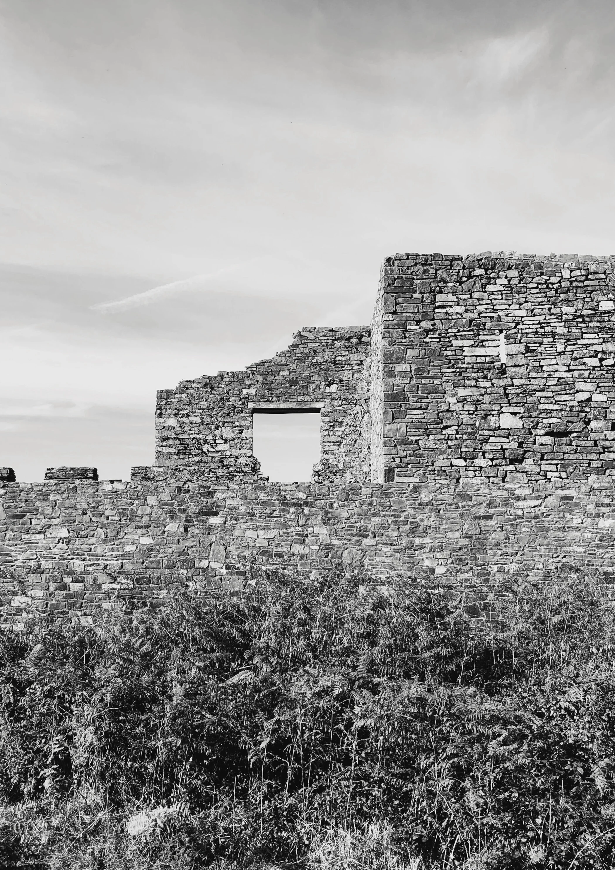 Fort