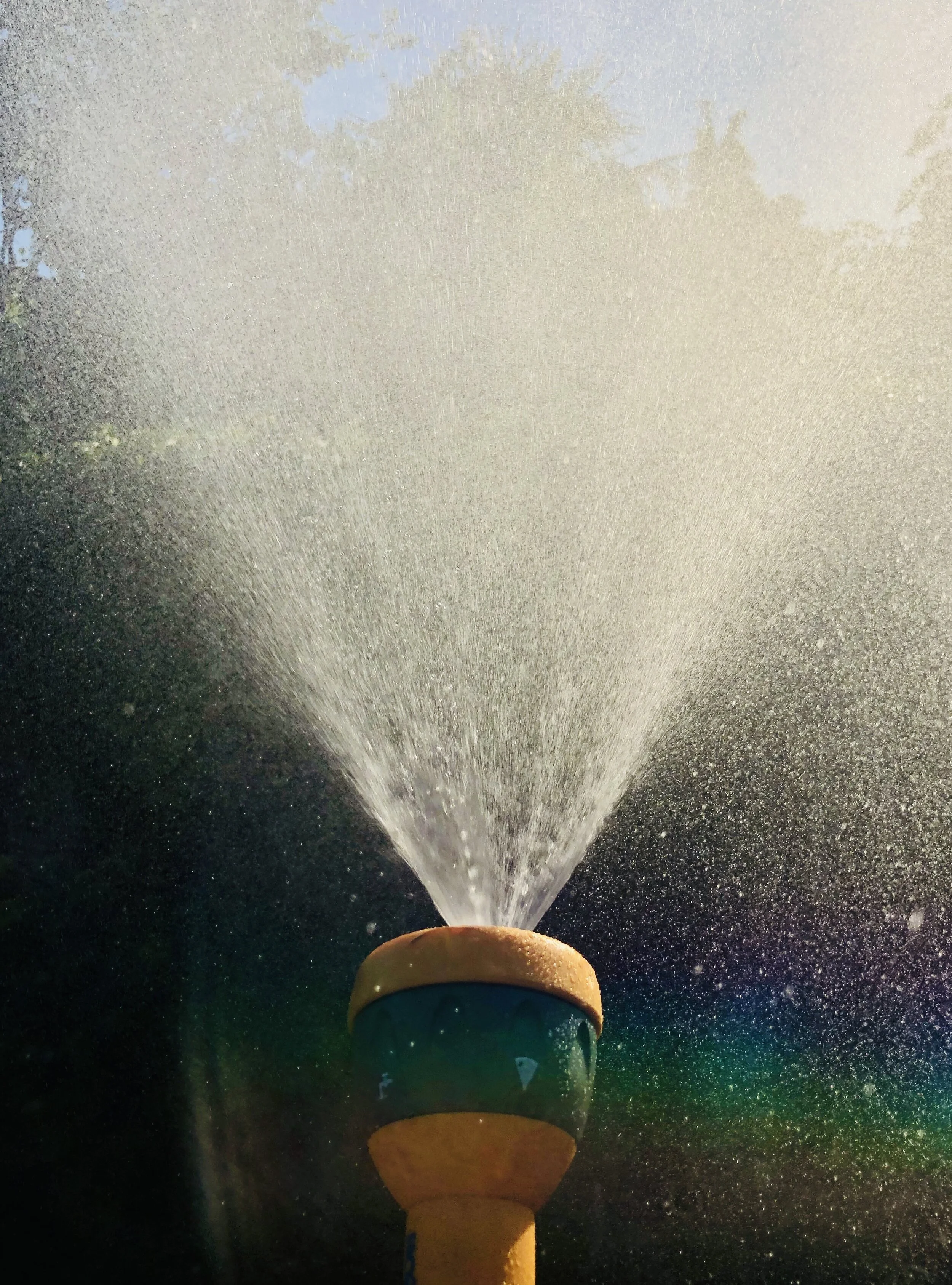 Hose