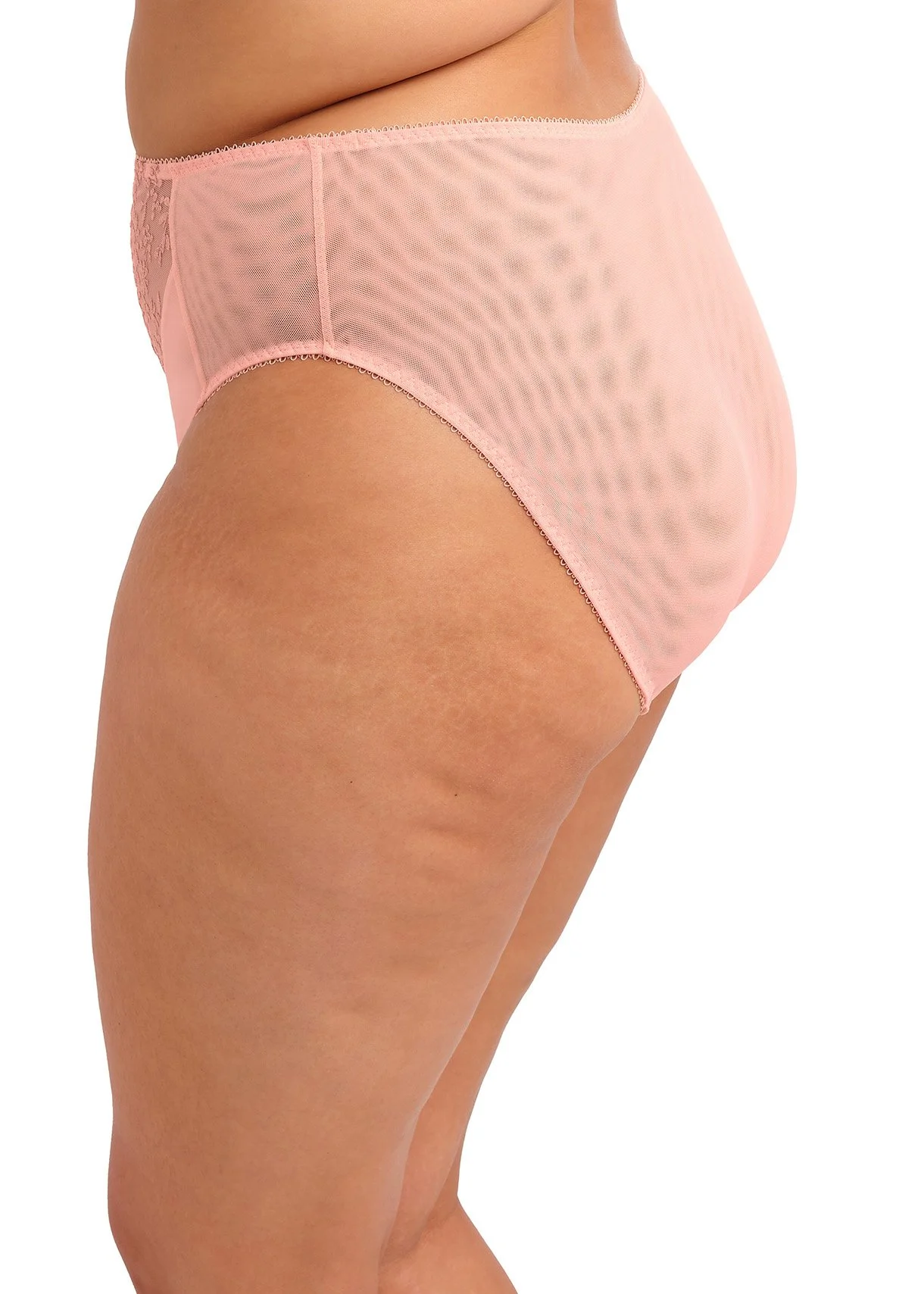 ZARLA_ROSE-BUD_HIGH-LEG-BRIEF_EL302553_S _TRADE_WEB_SS26.jpg
