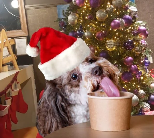 Monboddo Breakfast with Santa