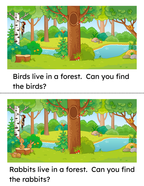 rsz_1animals_book_in_a_forest_2_color_copy_copy.png