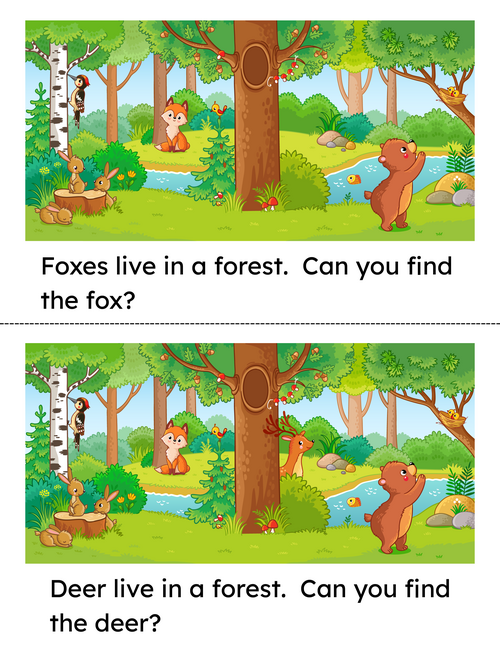rsz_animals_book_in_a_forest_4_color_copy_copy.png