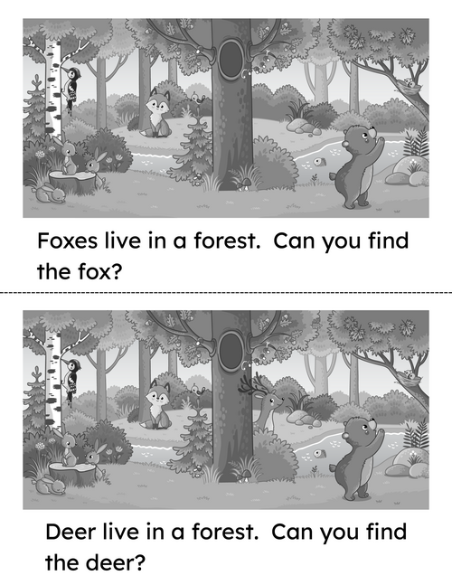 rsz_animals_book_in_a_forest_4_bw_copy.png