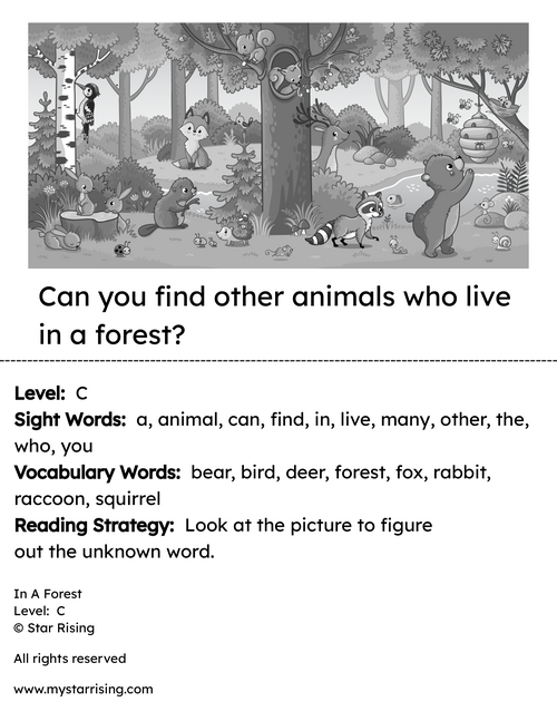 rsz_animals_book_in_a_forest_6_bw_copy.png