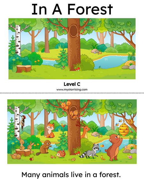 rsz_animals_book_in_a_forest_1_color_copy.png