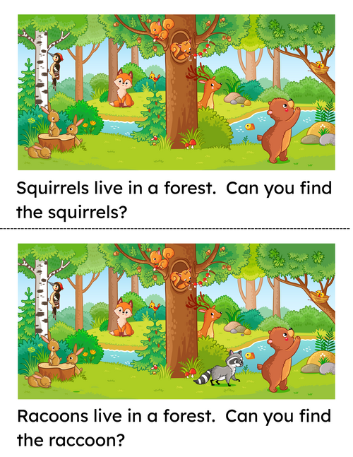 rsz_animals_book_in_a_forest_5_color_copy_copy.png