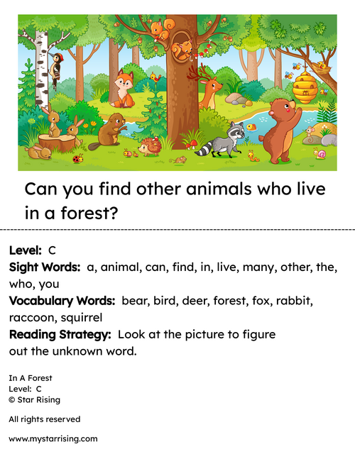 rsz_animals_book_in_a_forest_6_color_copy.png