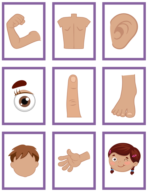 rsz_3body_parts_flashcards_page_1_copy.png