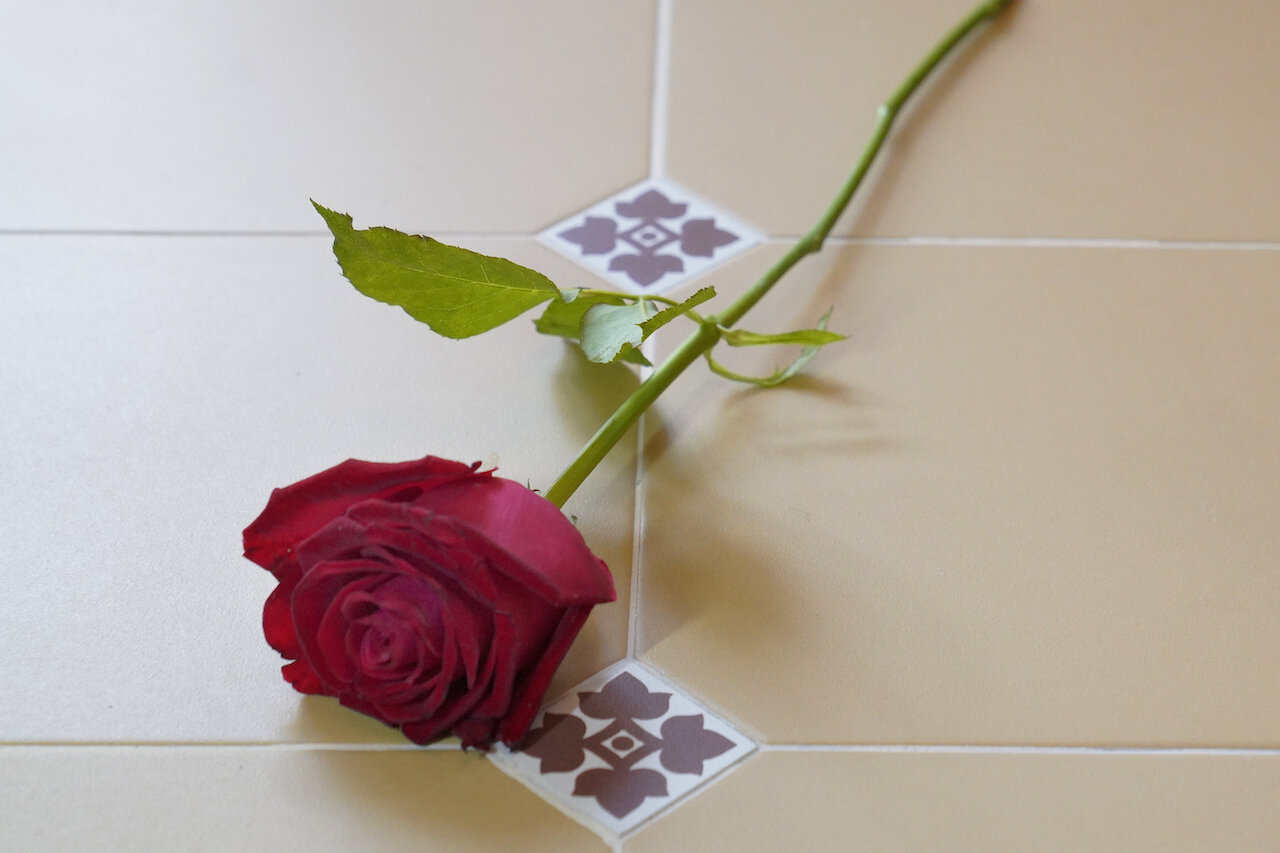 Red rose on Palazzo Florio's Liberty style ocra floor tiles