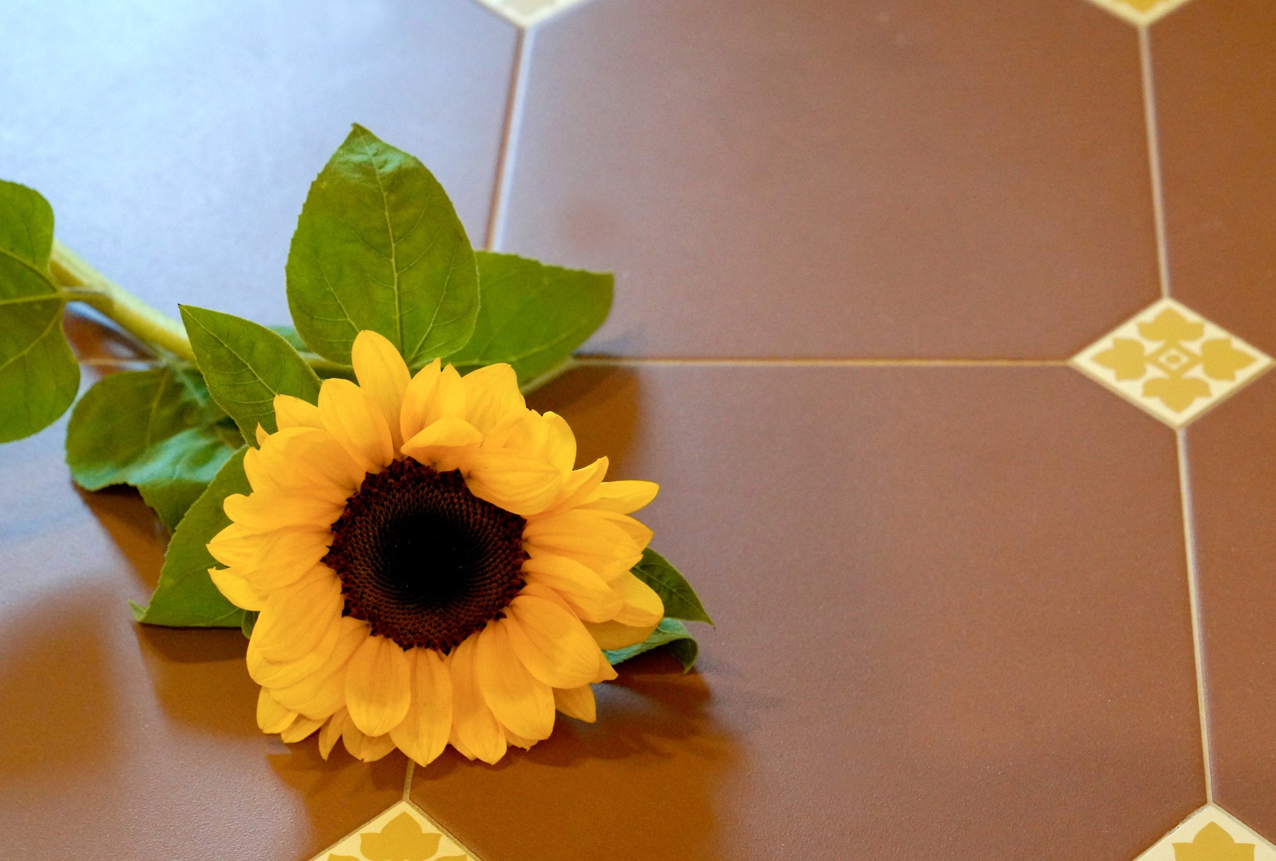 Sunflower on the Liberty style tile floor