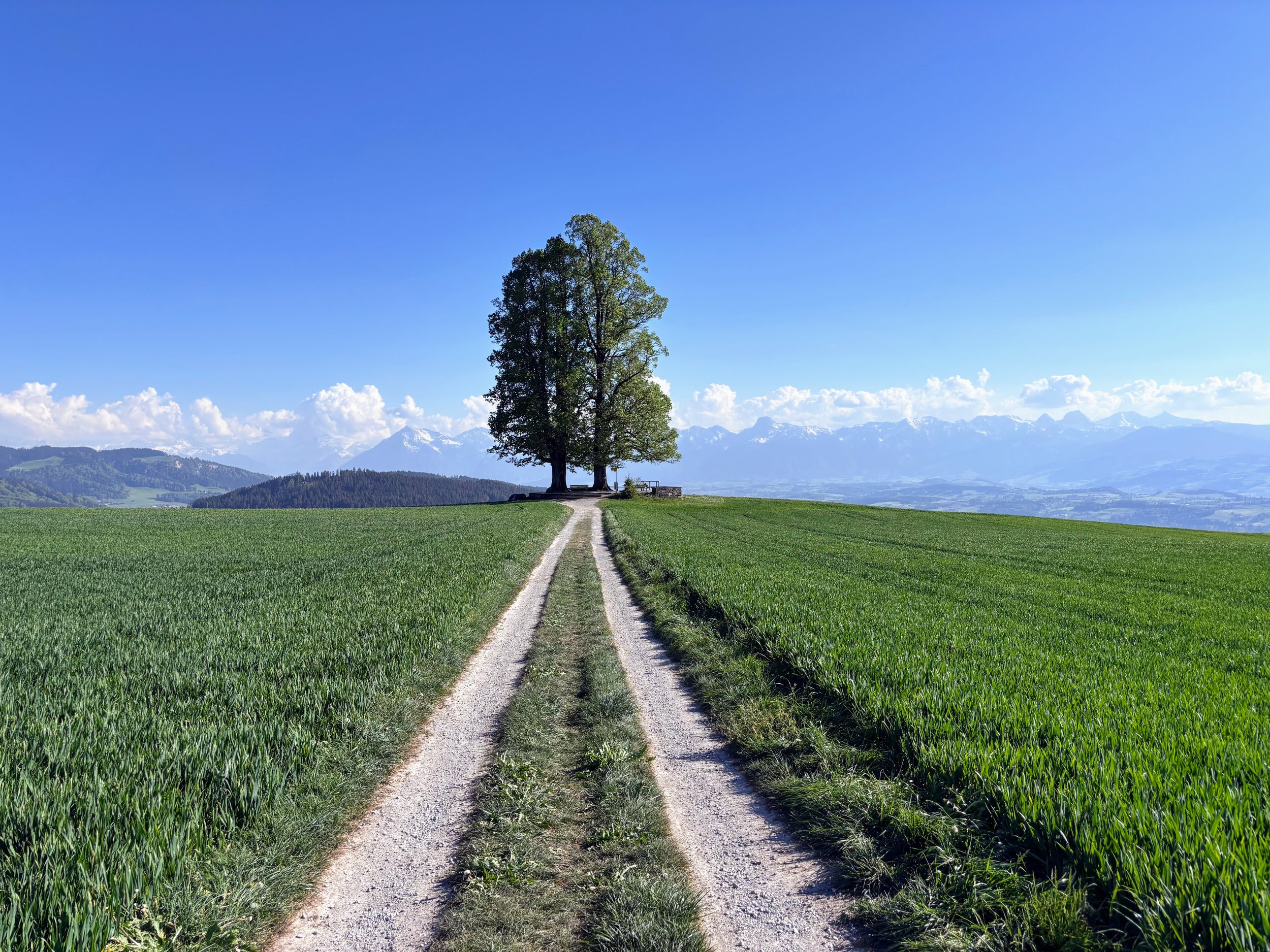I Like Getting Older - Ballenbühl