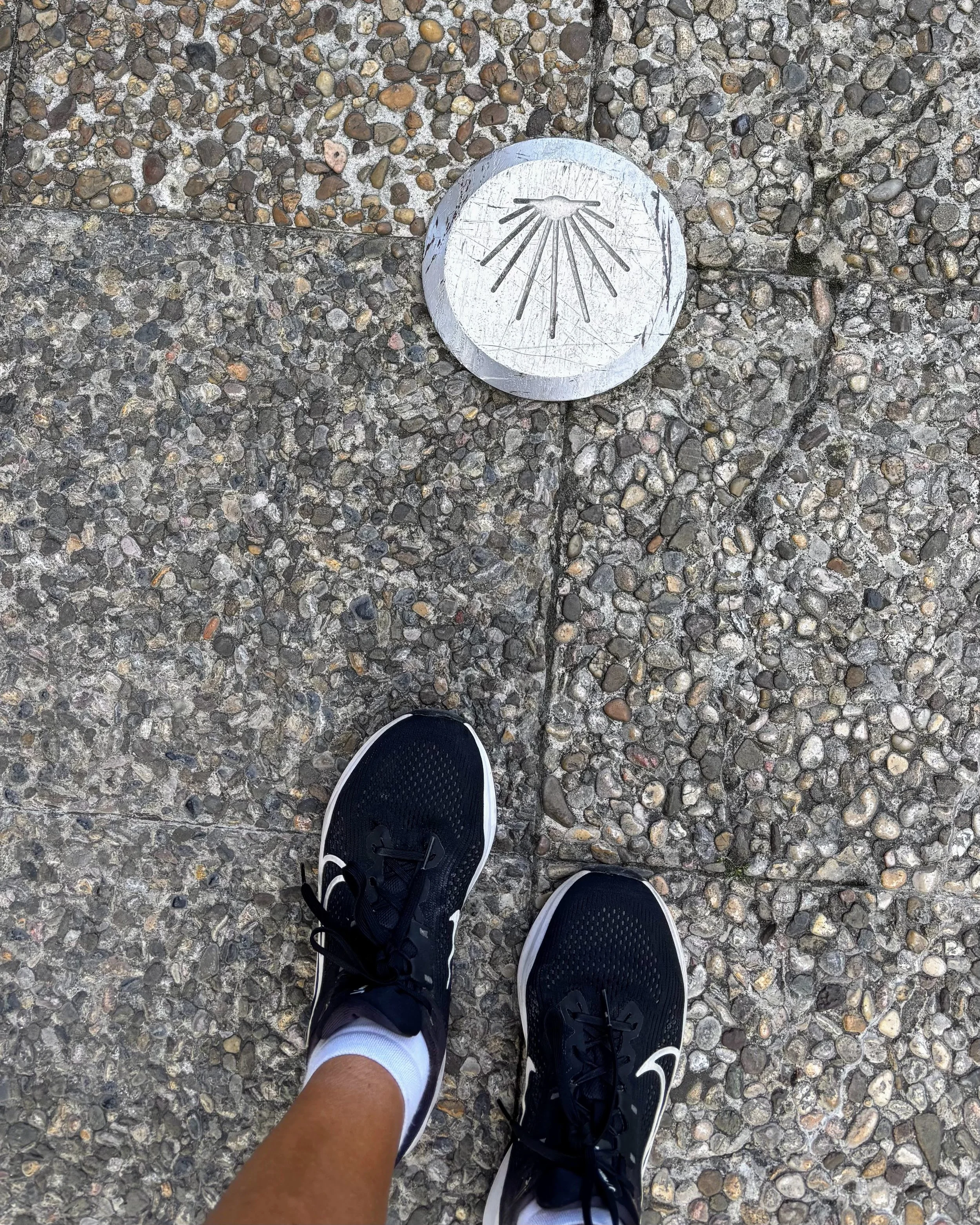 camino sign on the street.jpg