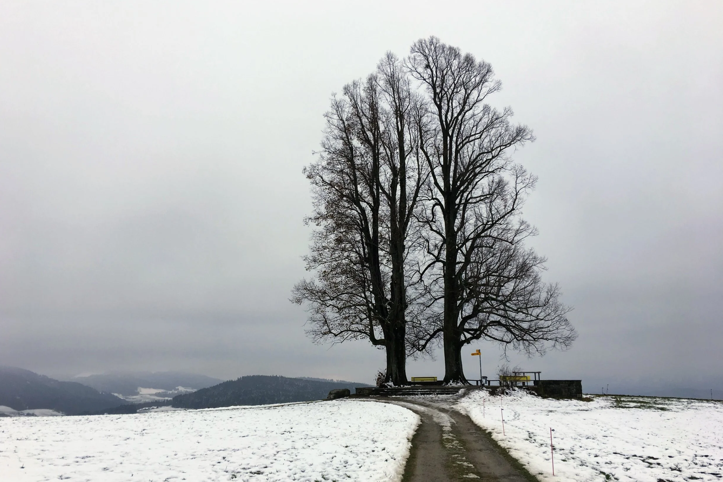 The Ballenbuhl viewpoint in Switzerland in winter with snow, the panoramic view of the Bernese Alps is covered by thick fog