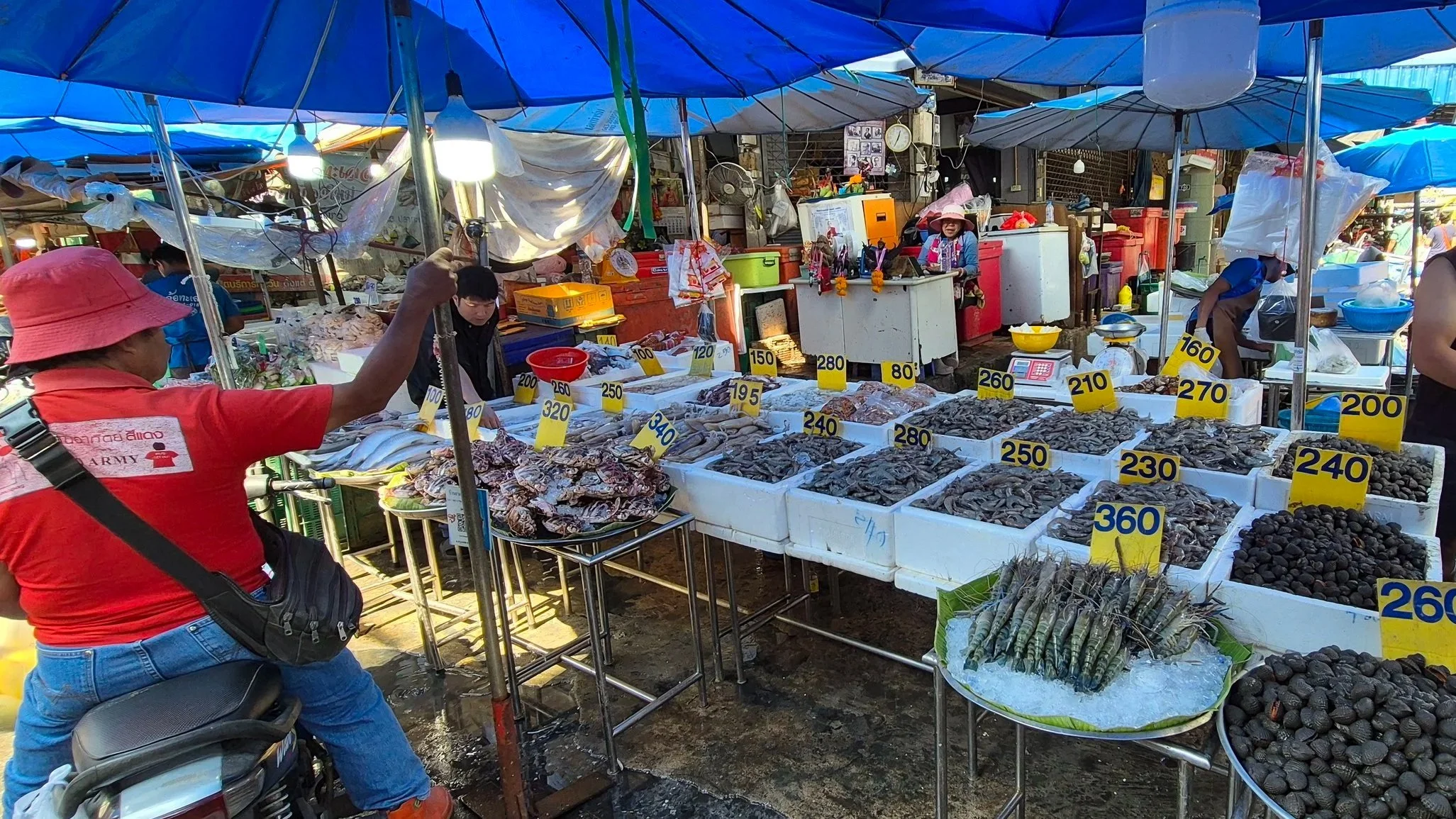 Seafood market featuring different kinds of shellfish and mollusks in Chiang Mai Thailand