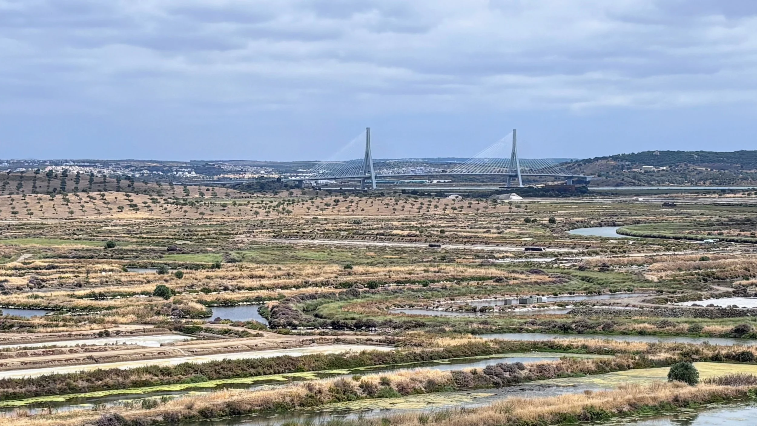 The bridge across the Guadiana River, seen across the wetlands from the Castro Marim Castle.