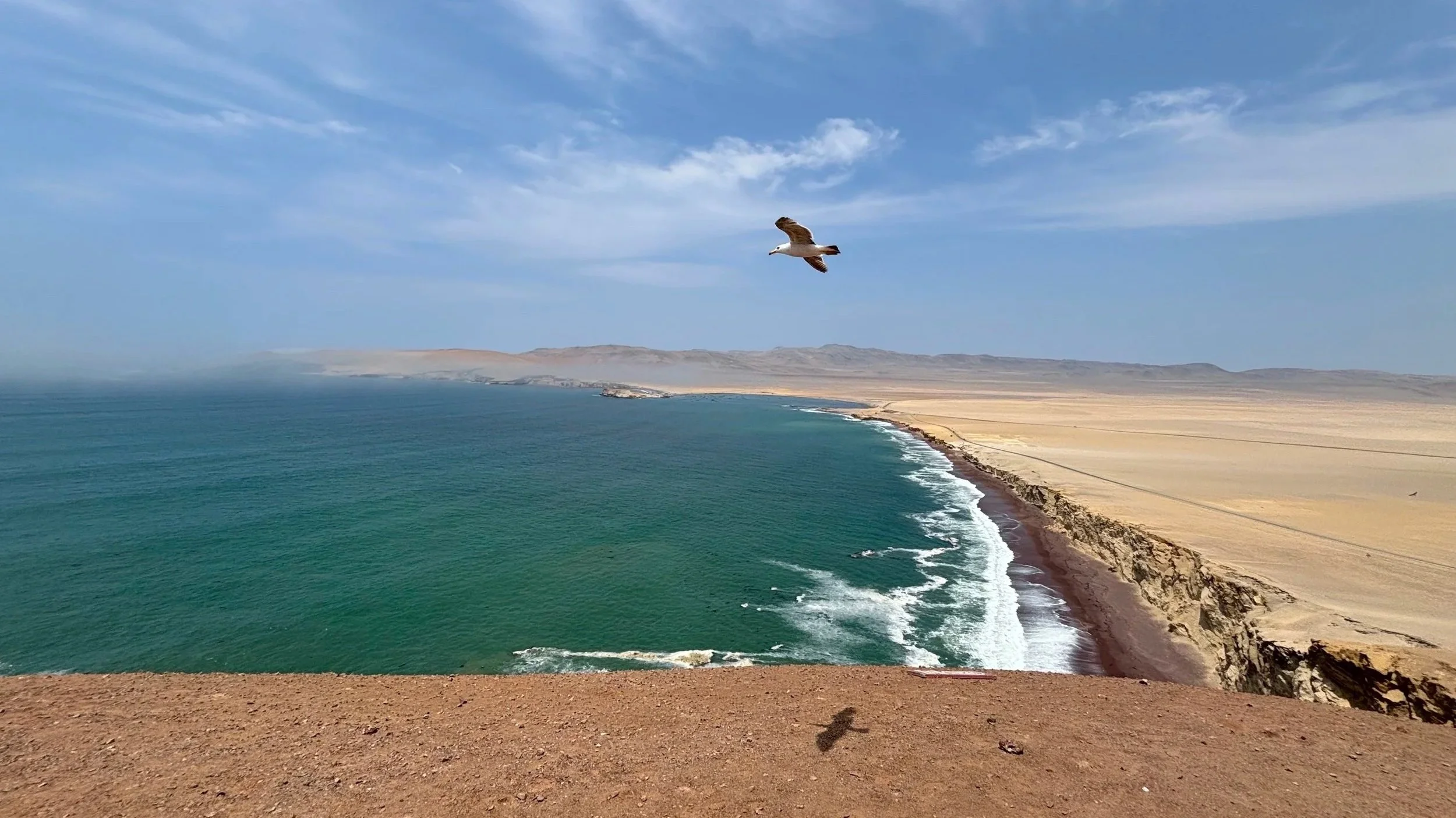 Coast and beach view in the desert of the Paracas Natural Reserve in Peru, with a seagull flying above and leaving a shade on the red sand below