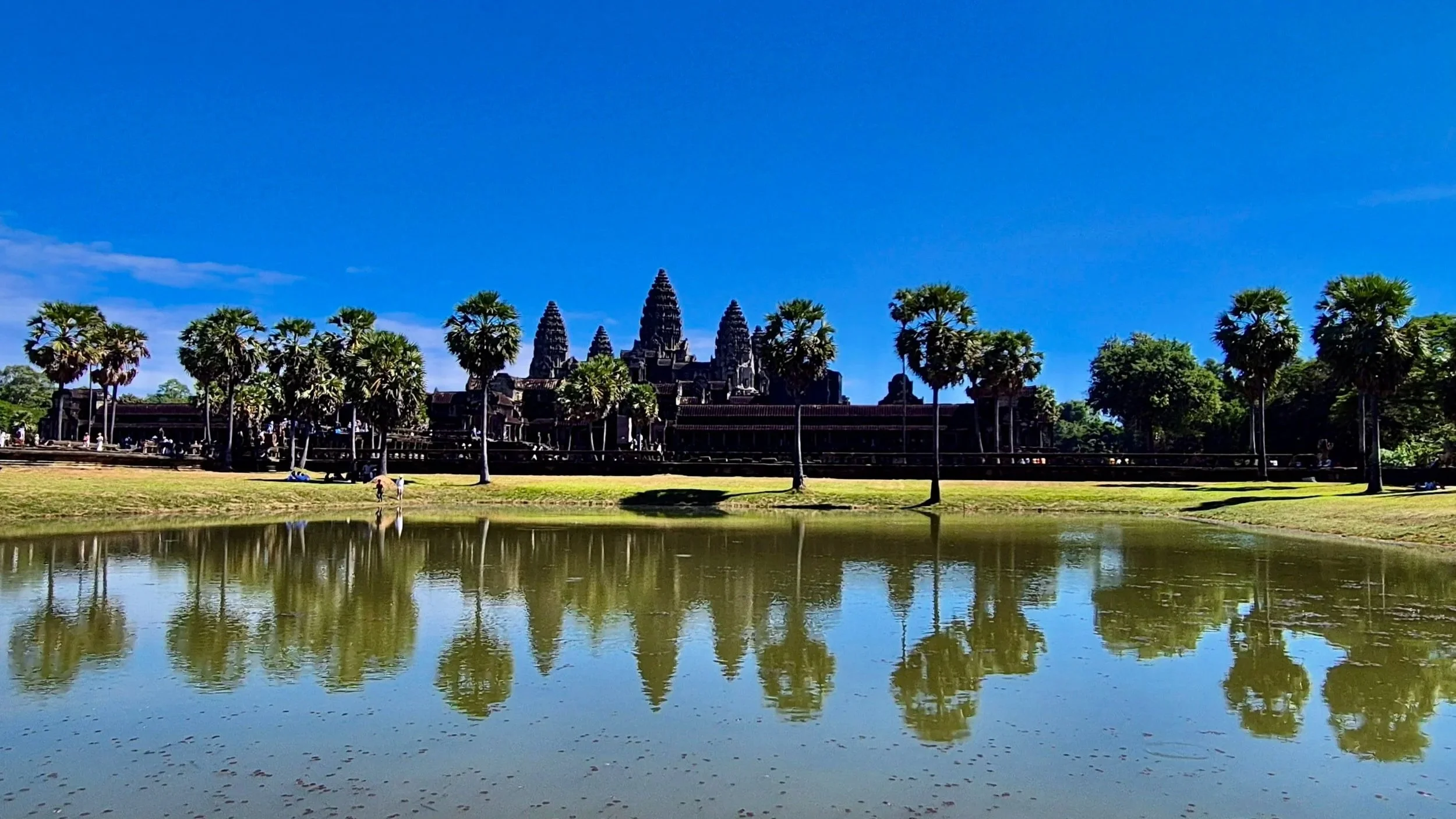 Picture of the Angkor Wat temple and trees, their profiles reflecting on the water of the pond in the foreground